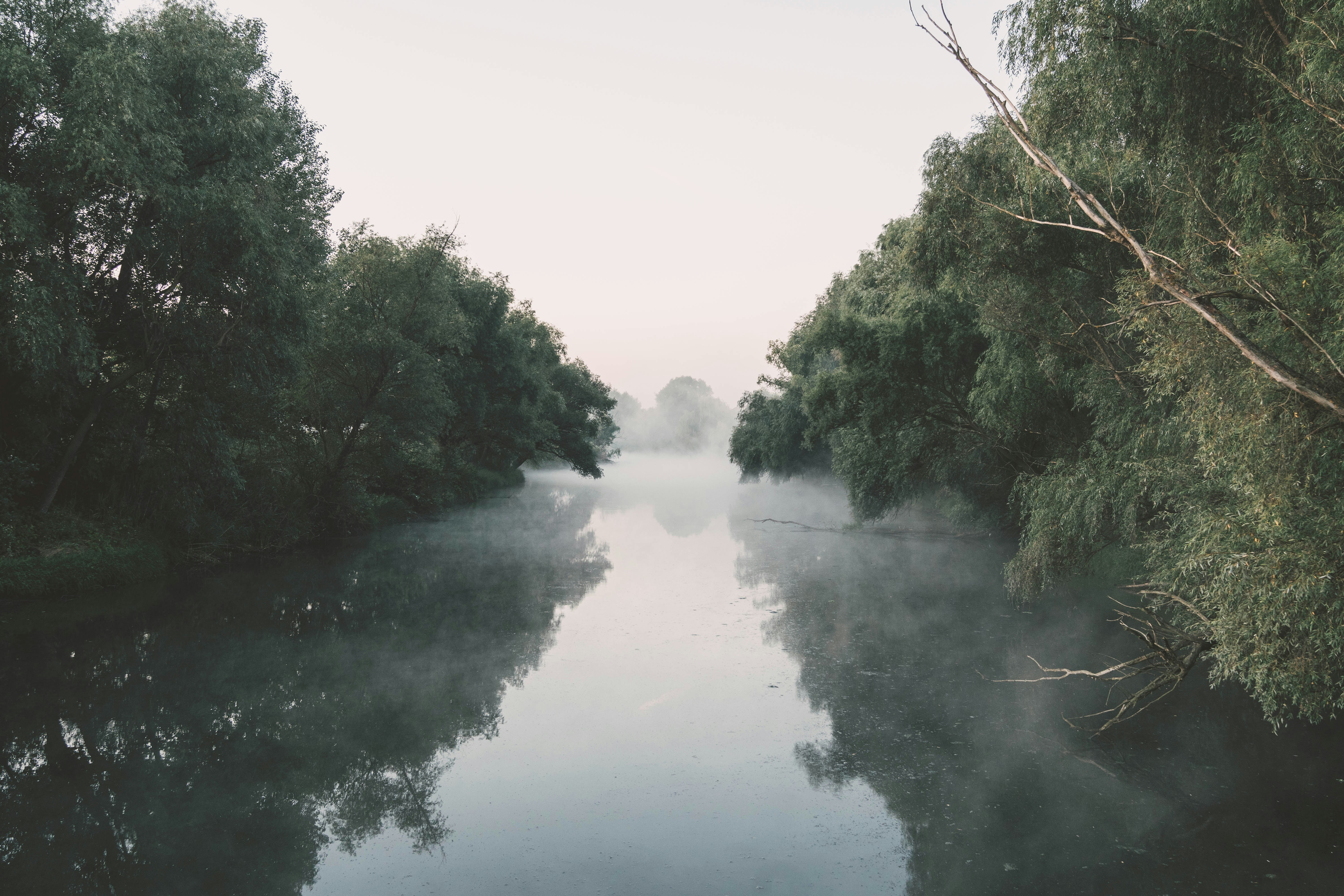 Photo by zero_esthetic