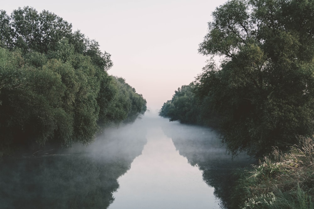 a river that is surrounded by trees and fog