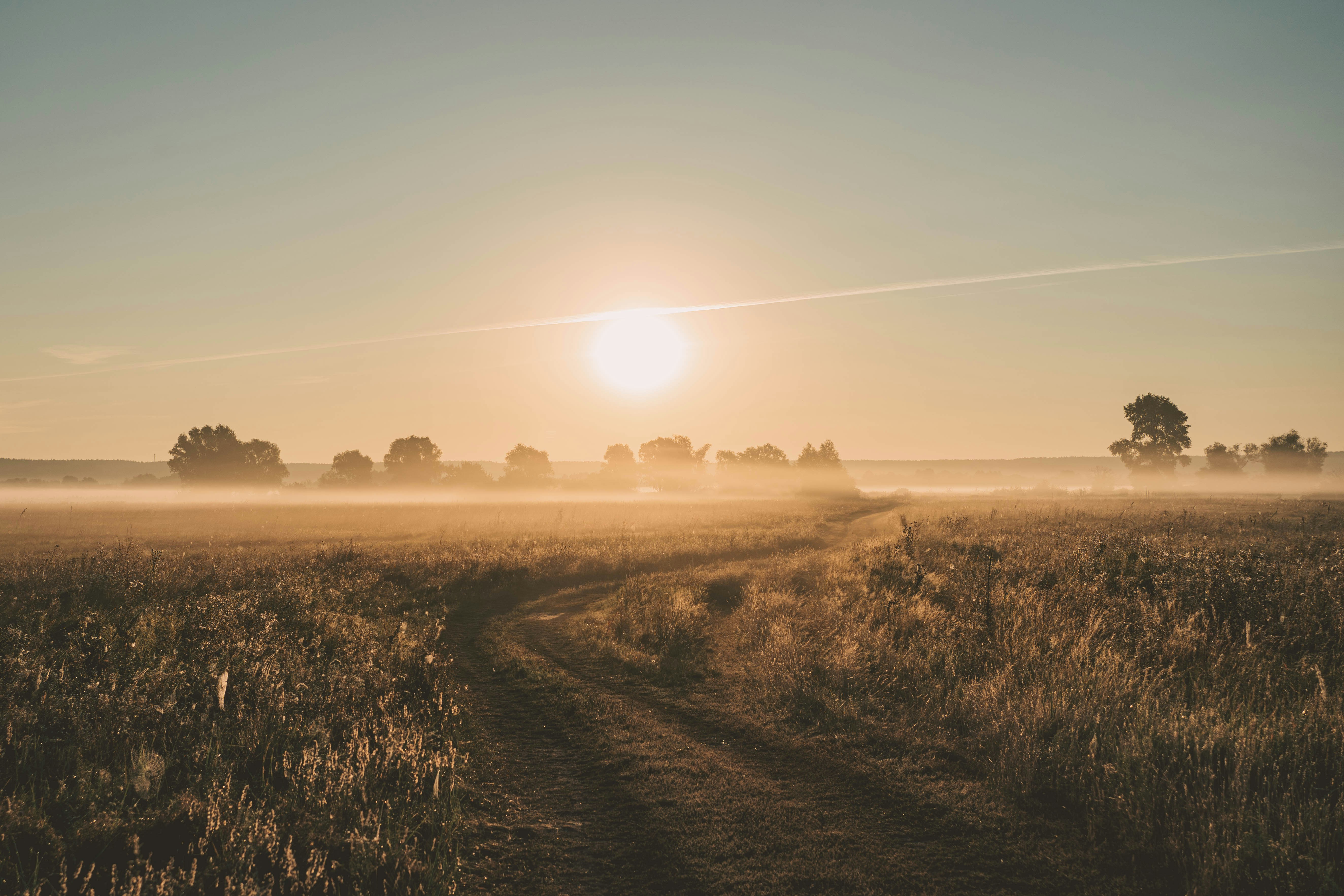 Photo by zero_esthetic