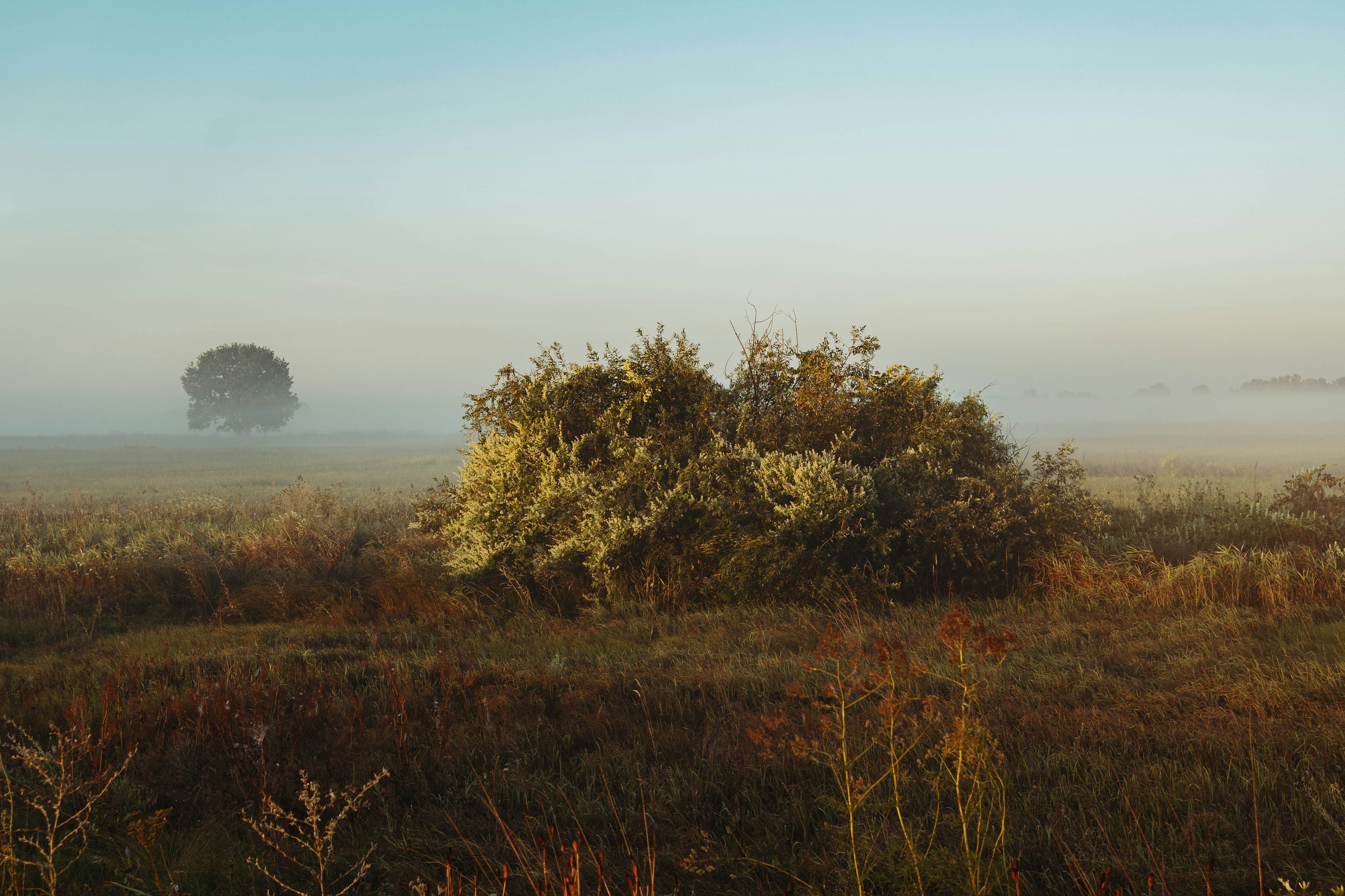 Photo by zero_esthetic