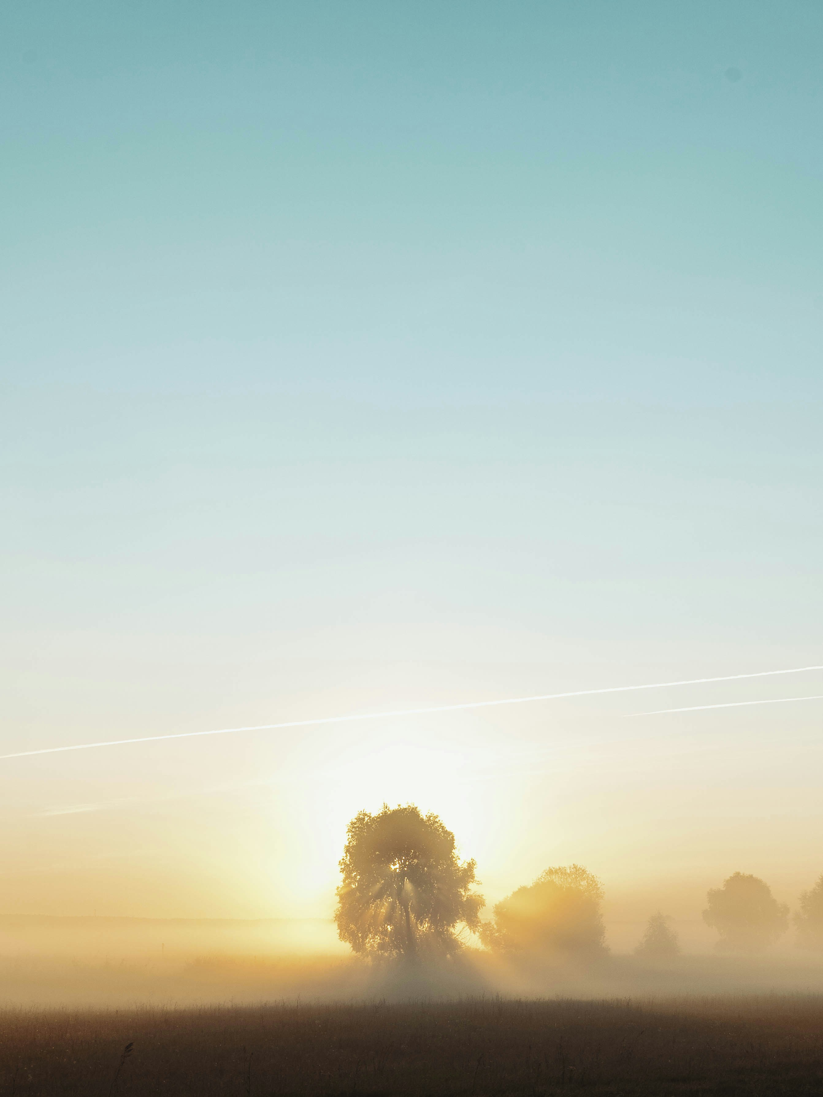 Photo by zero_esthetic