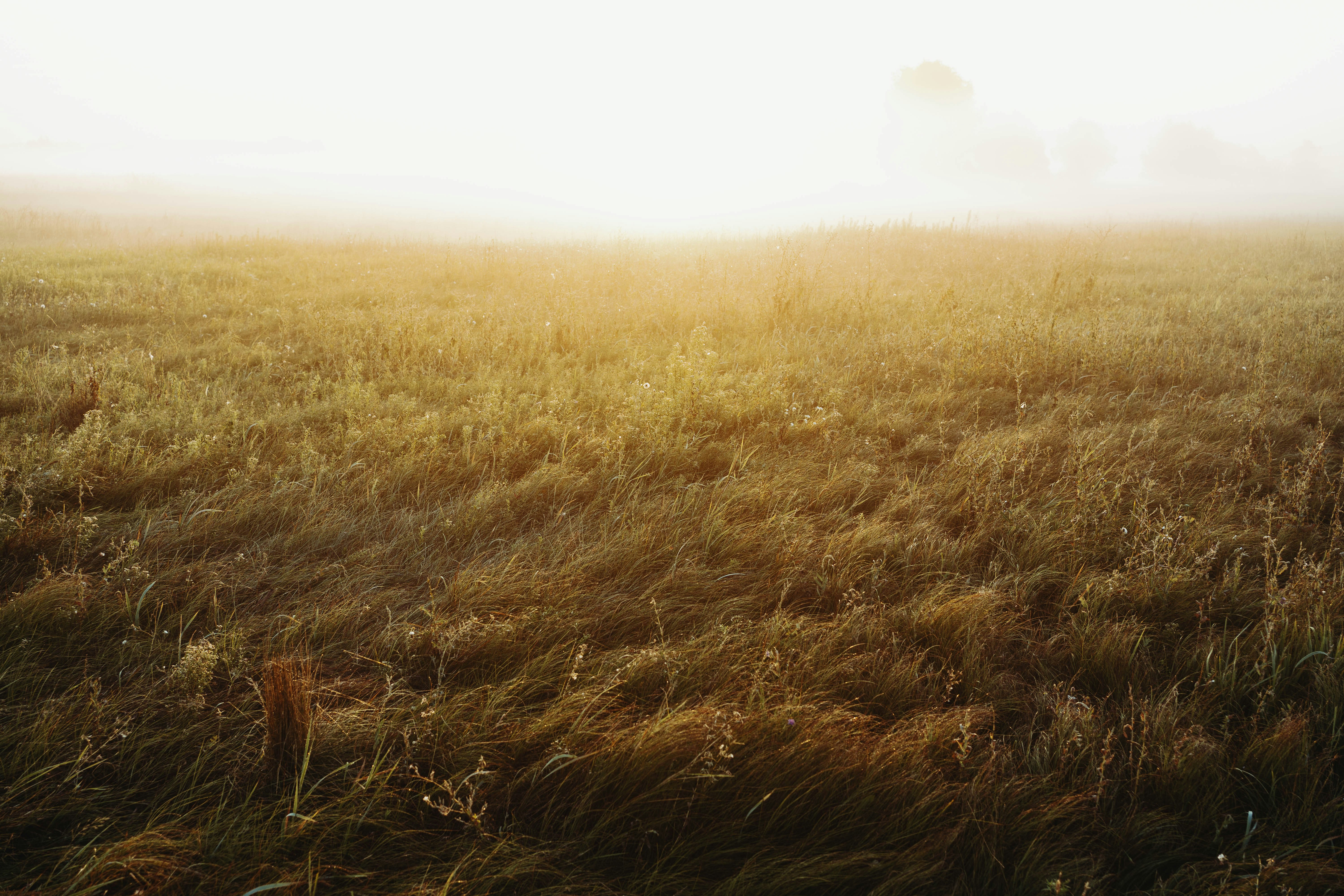 Photo by zero_esthetic