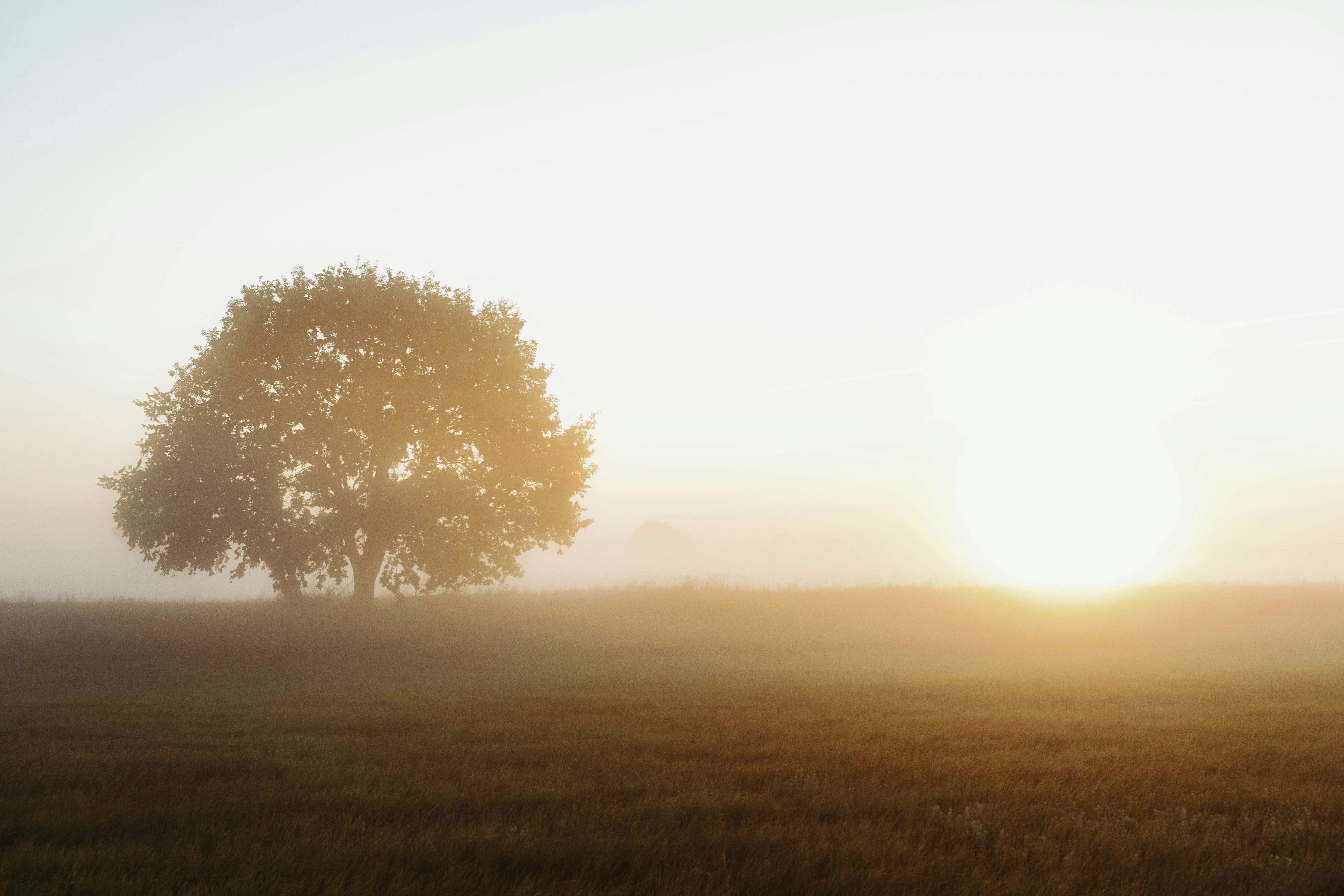 Photo by zero_esthetic