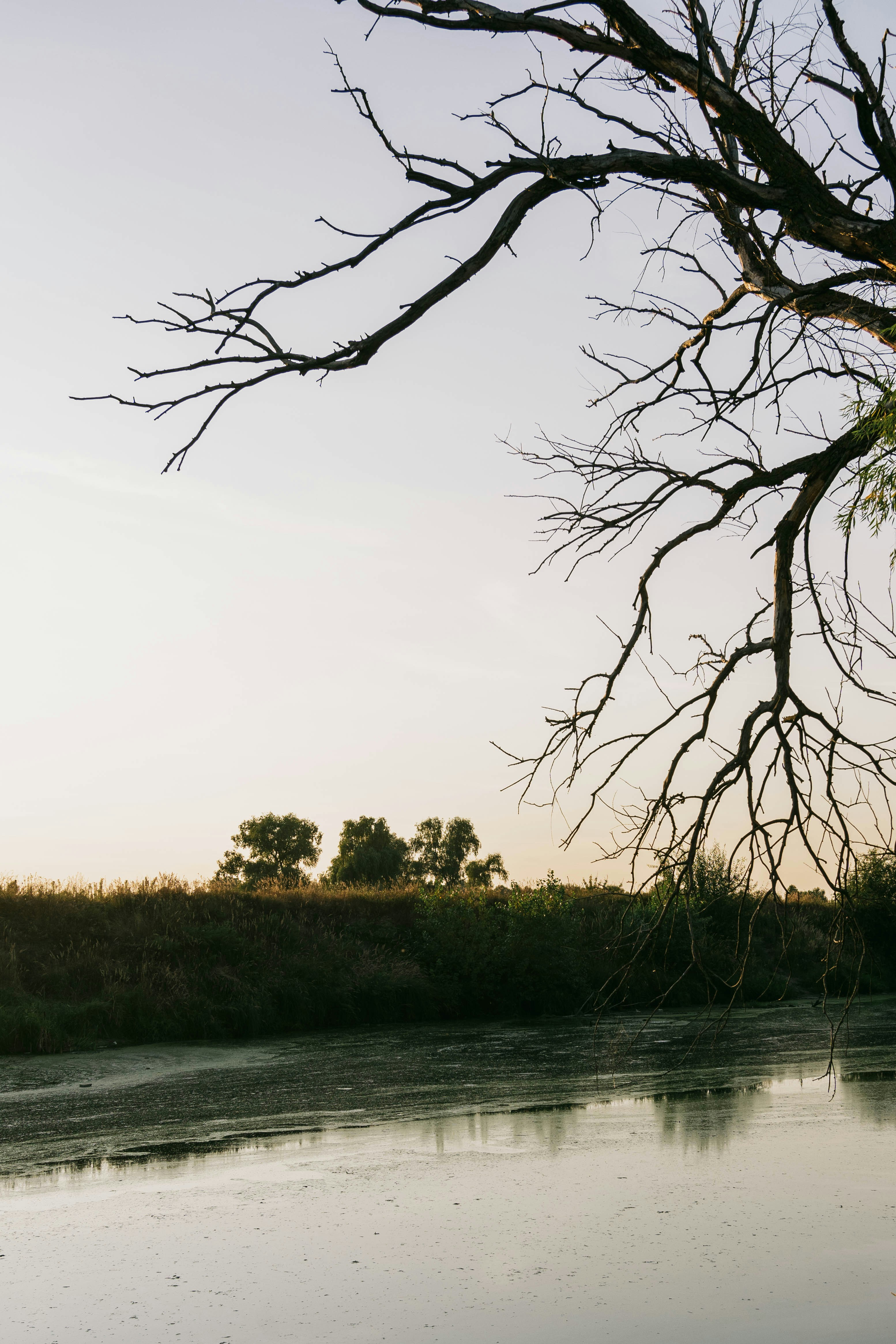 Photo by zero_esthetic