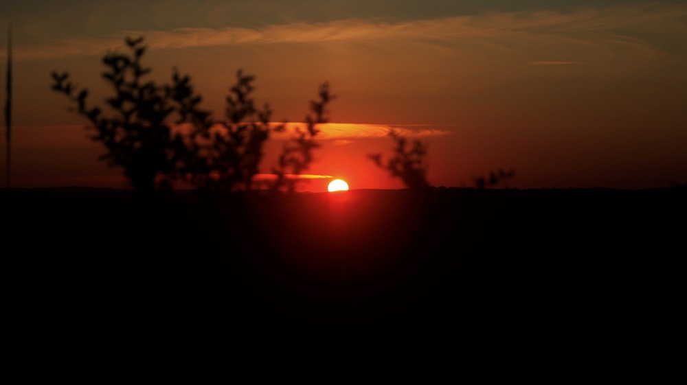 the sun is setting behind a tree in a field