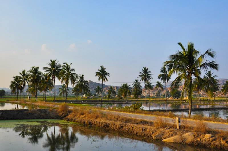 The Complete Travel Guide to Bangaram: Everything You Need to Plan Your Trip