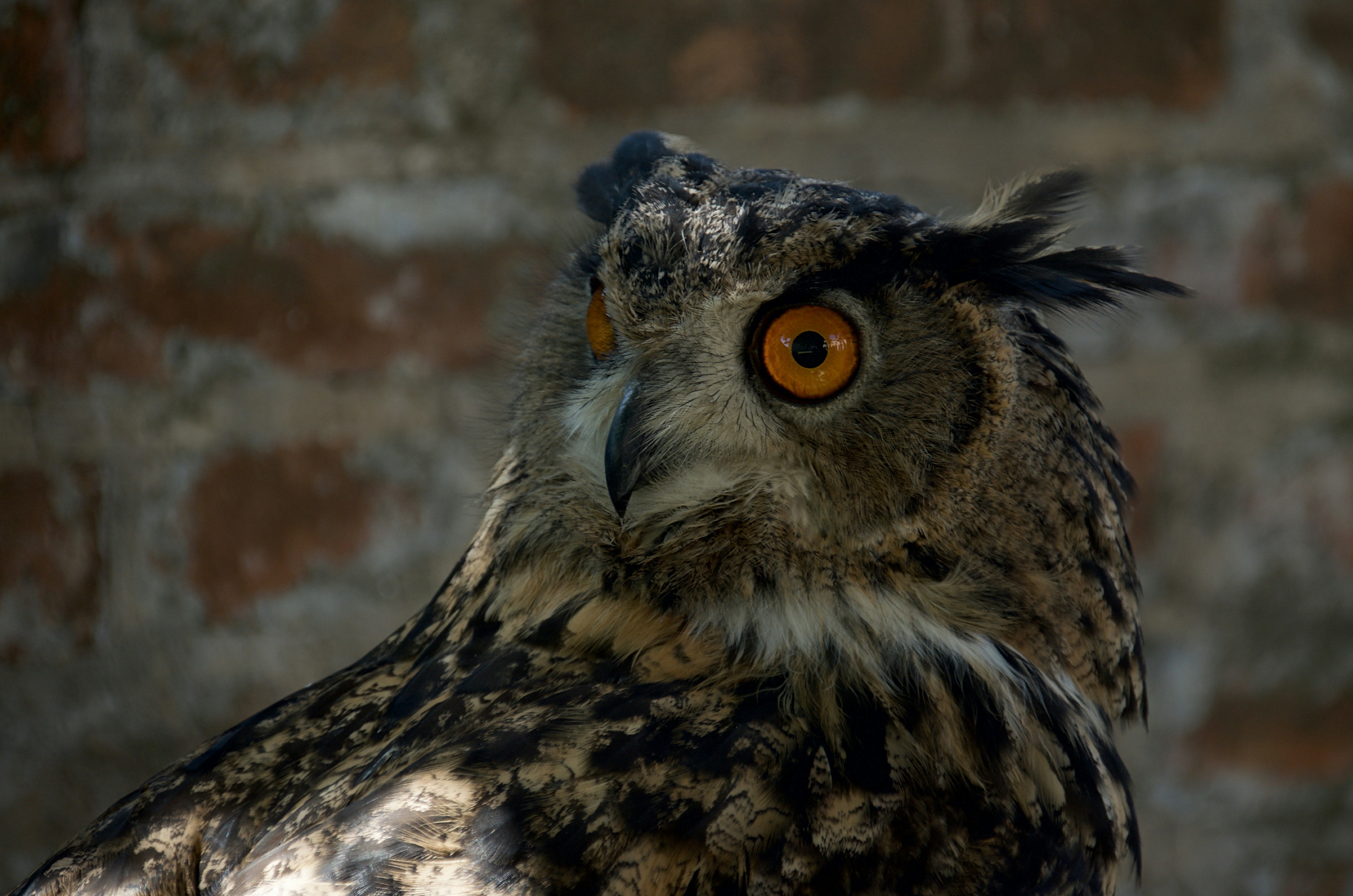 Photo by mariobeducci