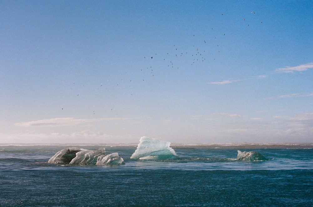 Un grand iceberg flottant au milieu de l’océan