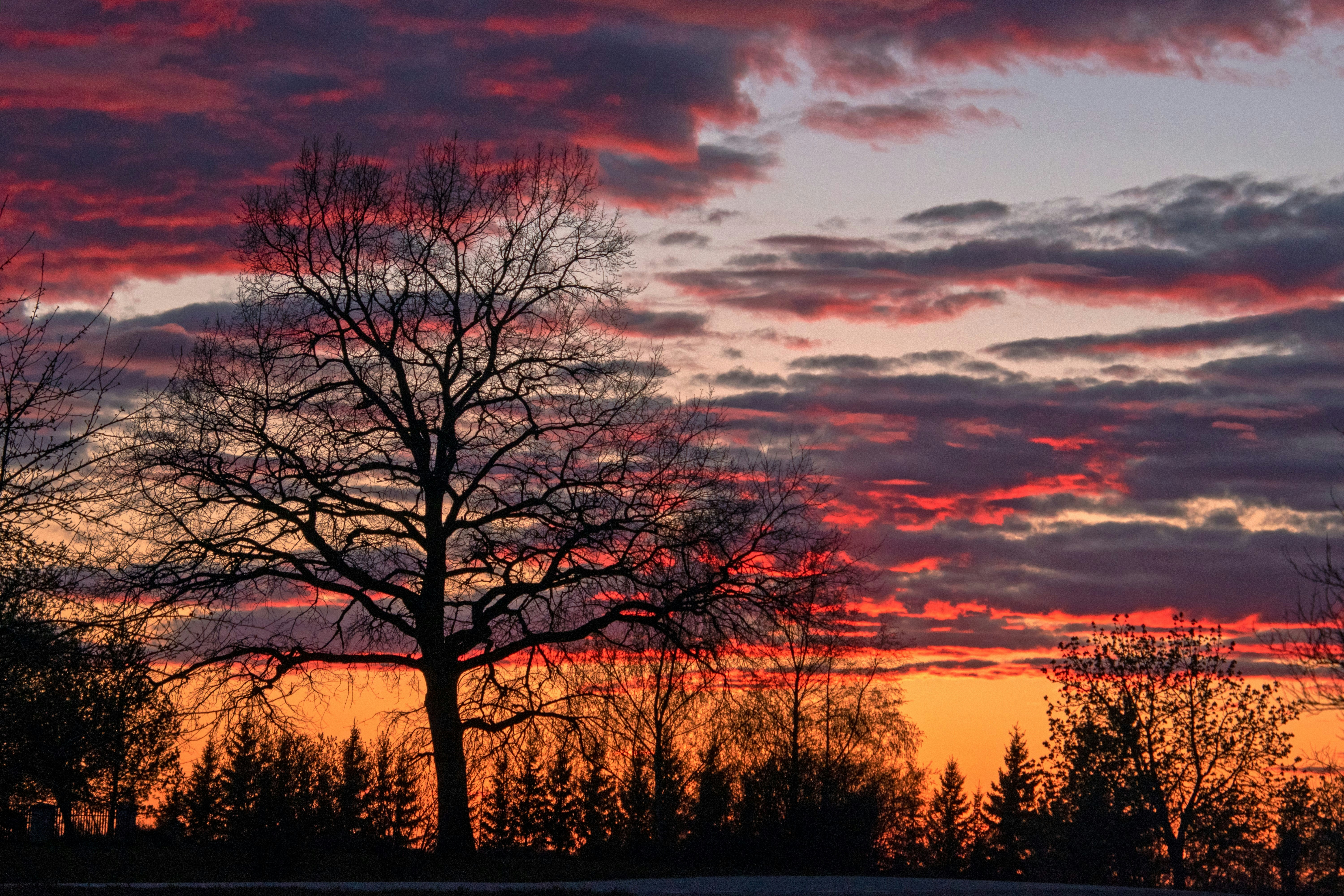 Photo by peepsaluvee