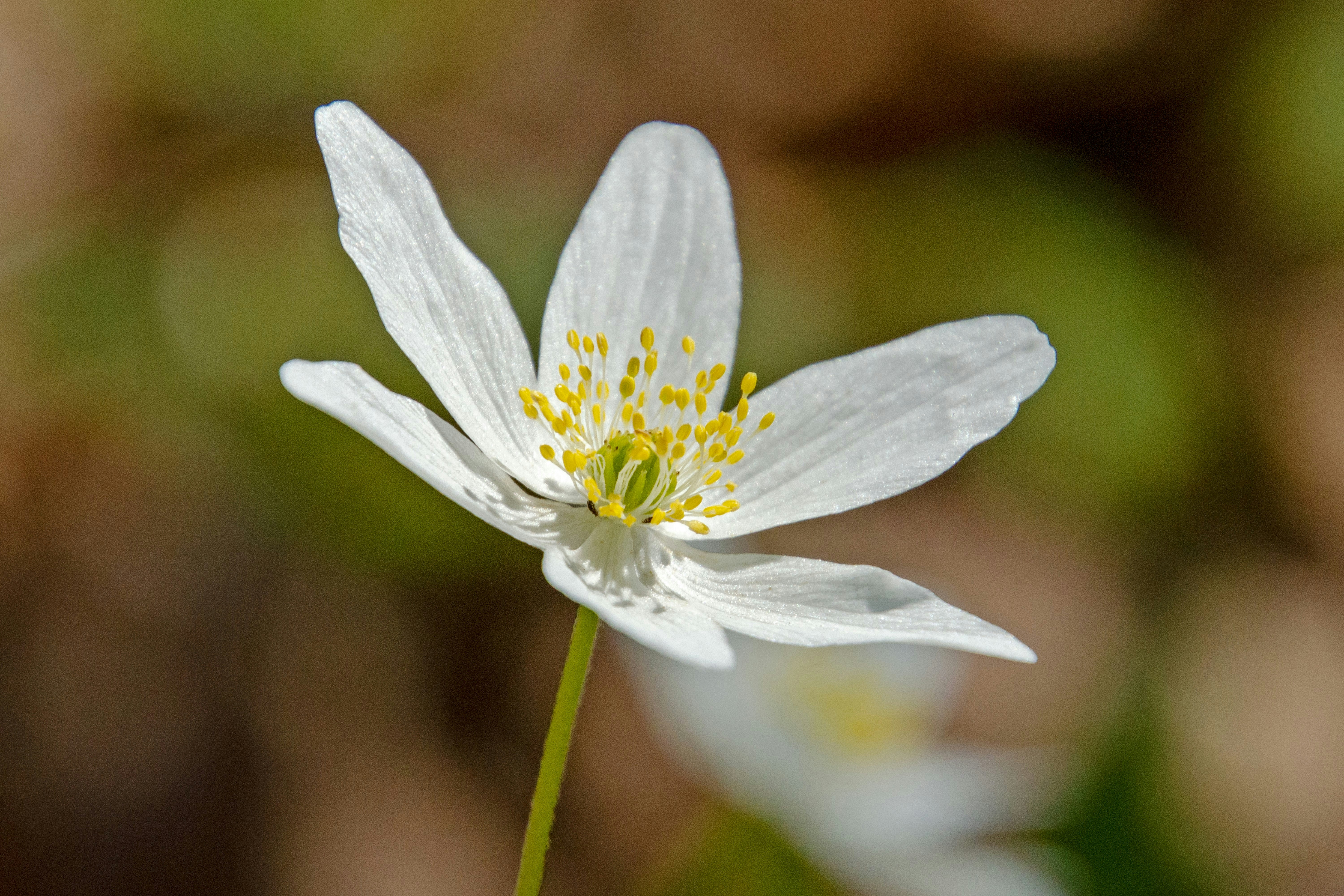 Photo by peepsaluvee