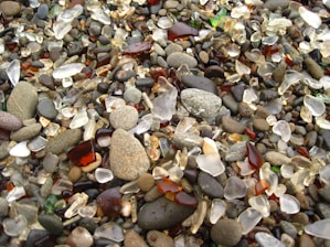 A collection of colorful pebbles mixed with small, smooth pieces of sea glass spread across a surface. The glass pieces are in various shades of brown, white, and green, and are scattered among the stones, which vary in size and color.