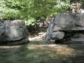 Pool with rocks