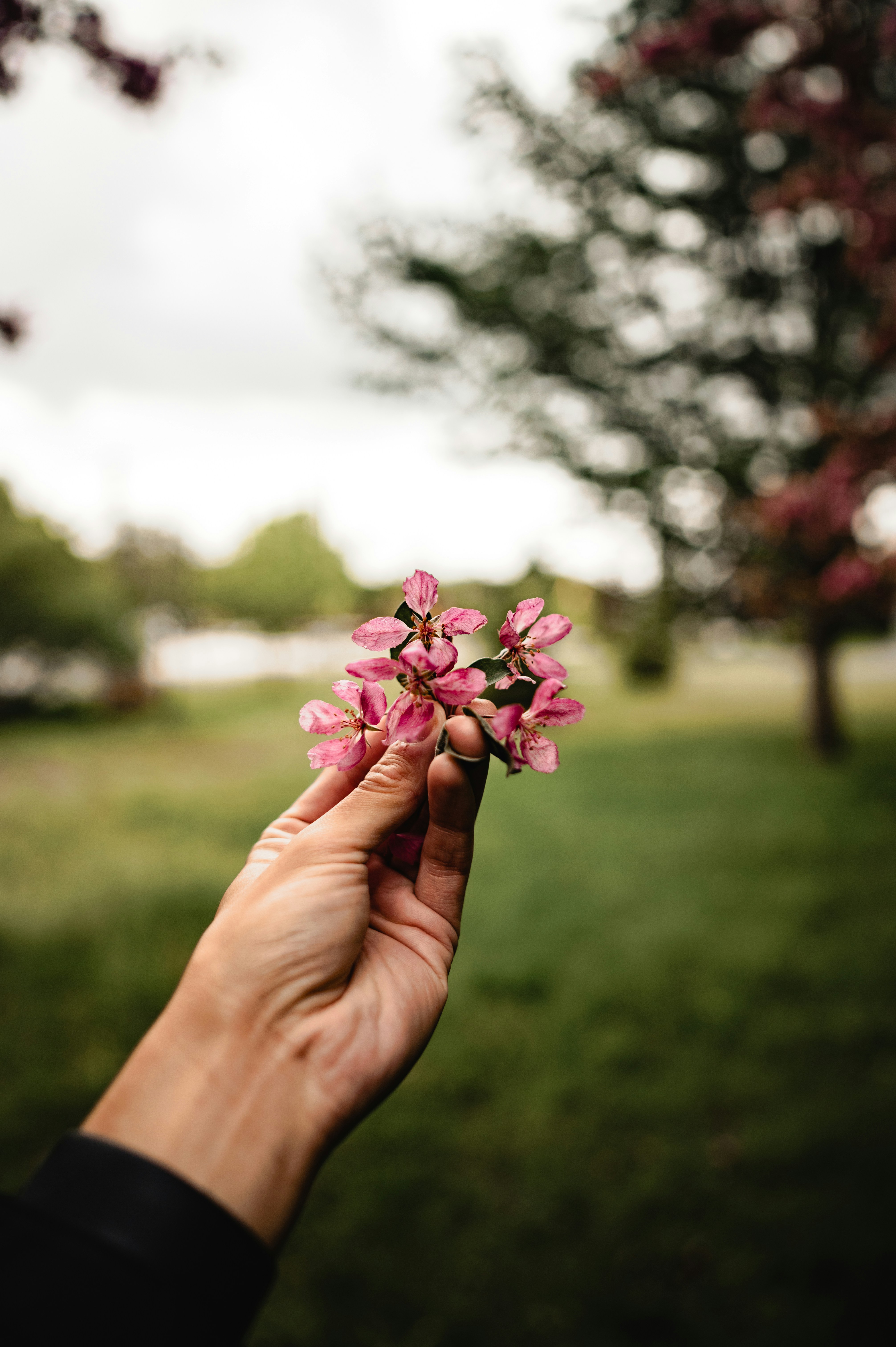 Photo by ryunosuke_kikuno