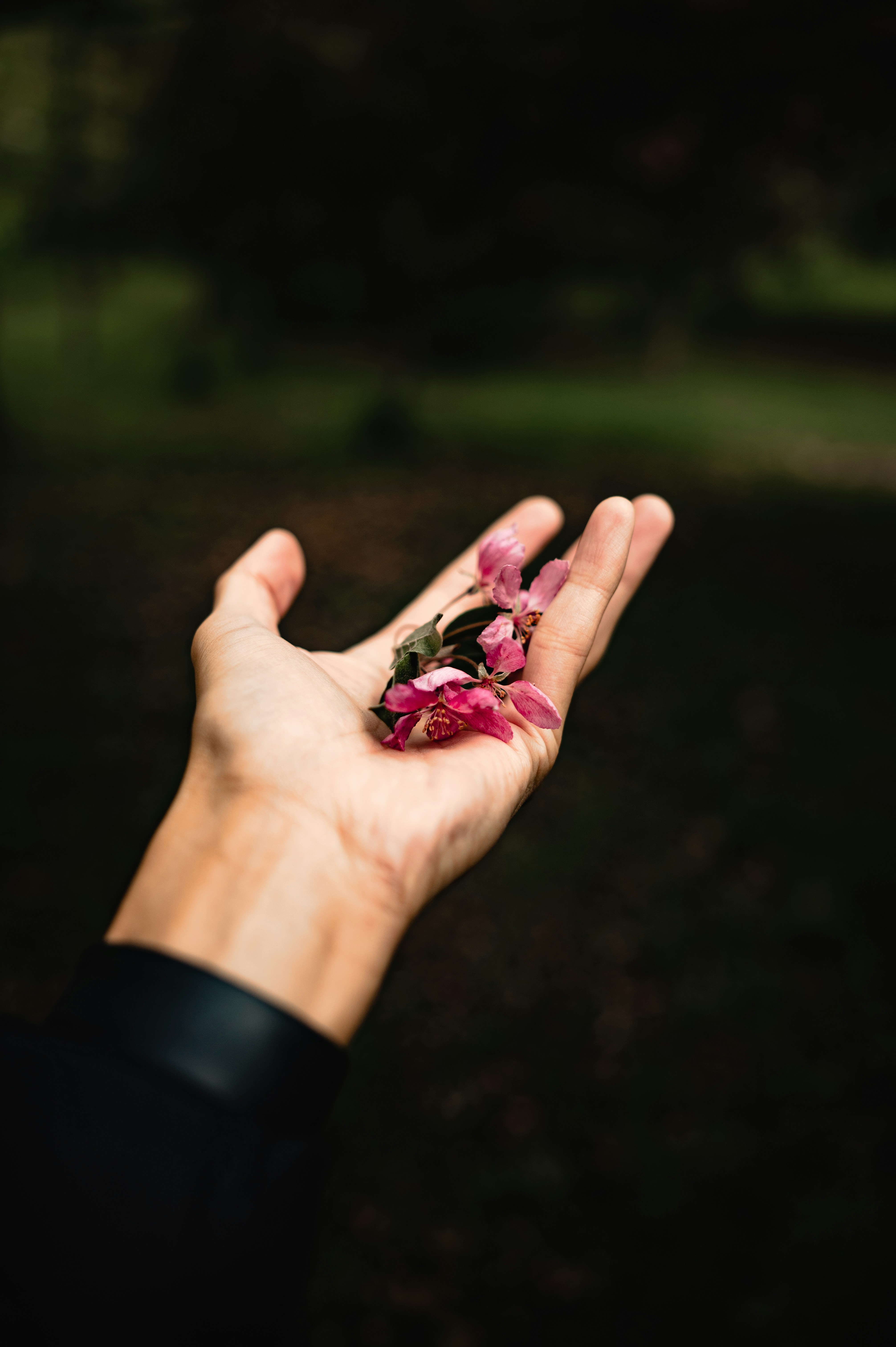 Photo by ryunosuke_kikuno