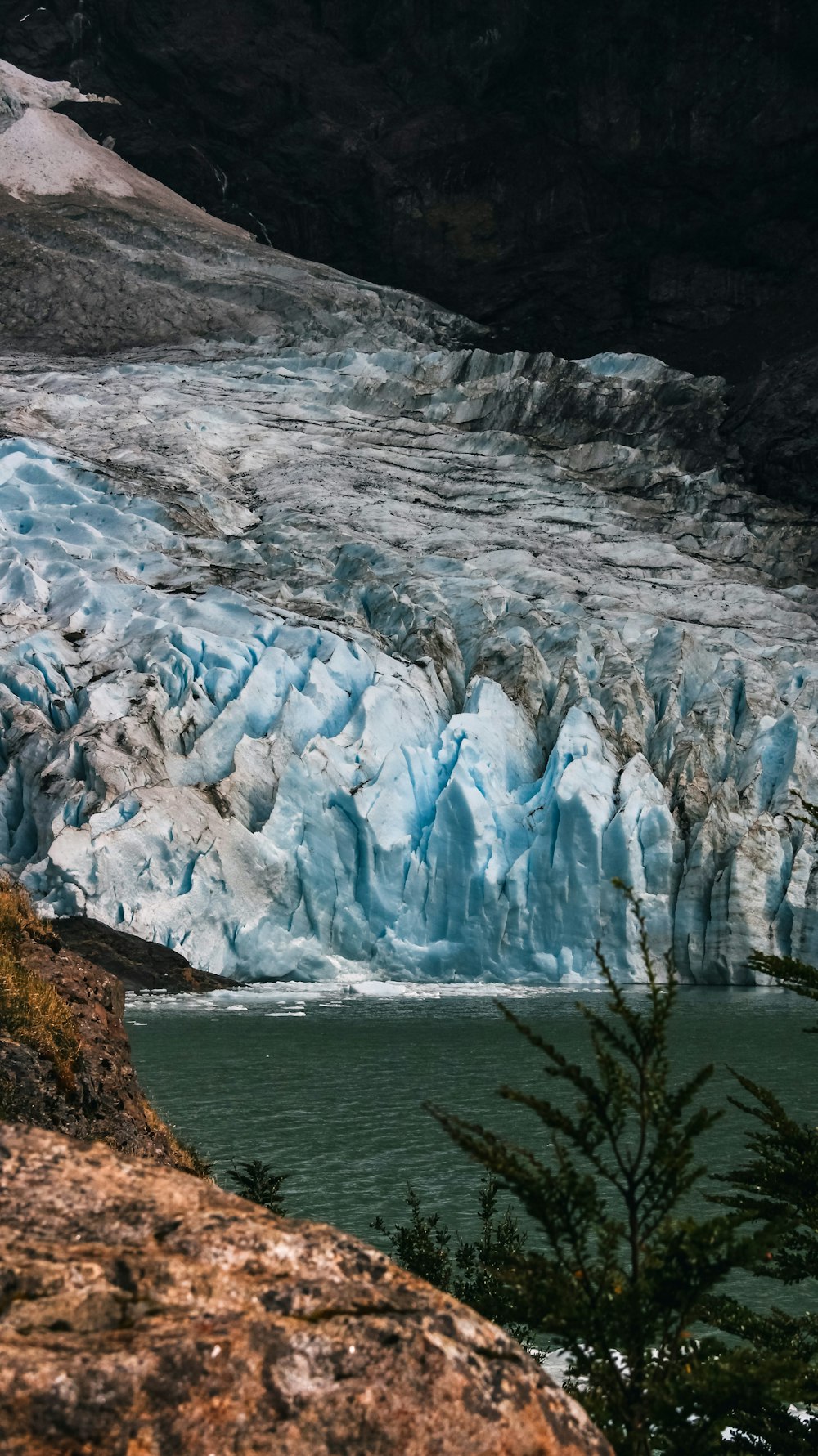 水域の隣にある大きな氷河