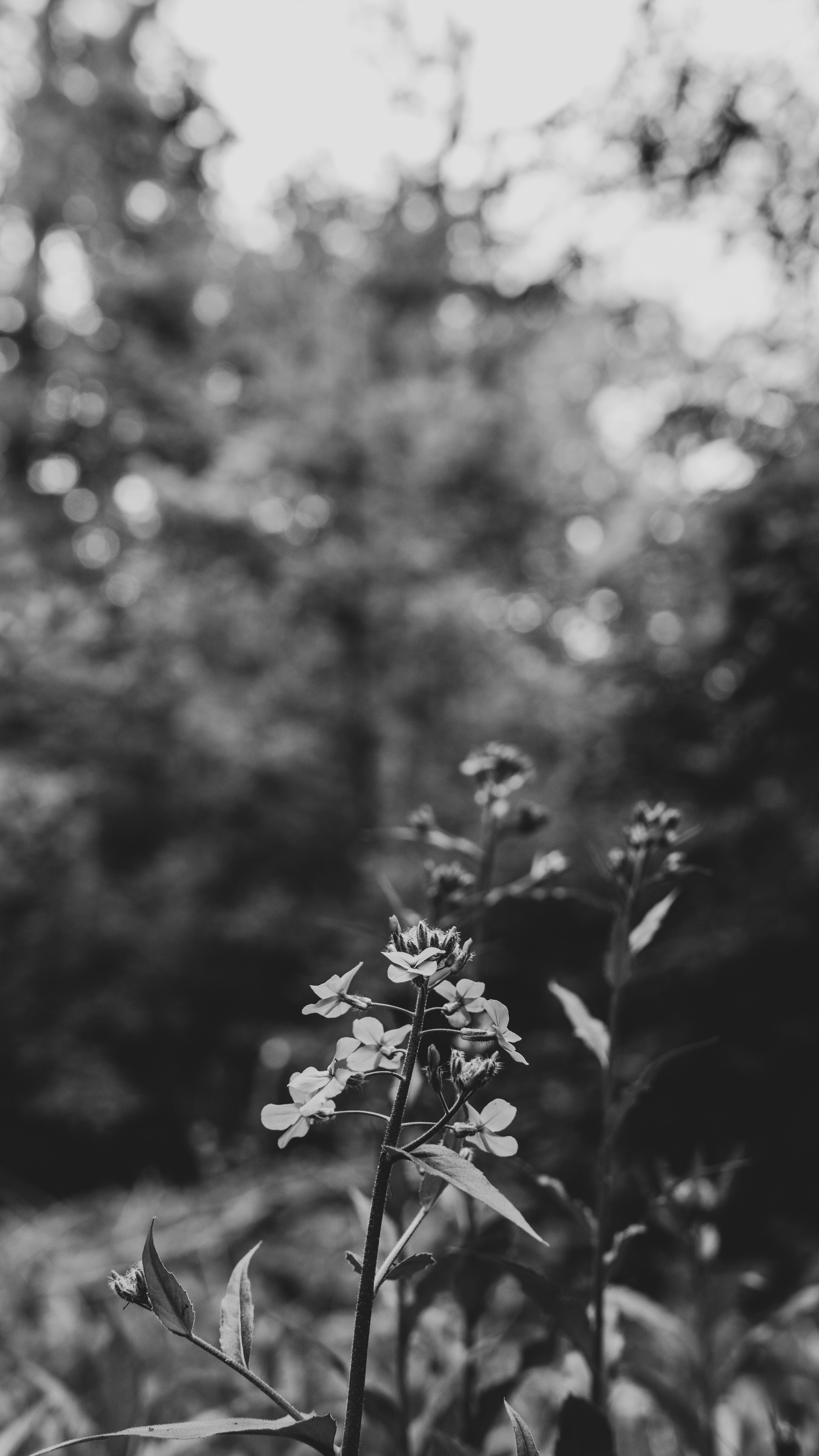 Photo by mrgreatheart