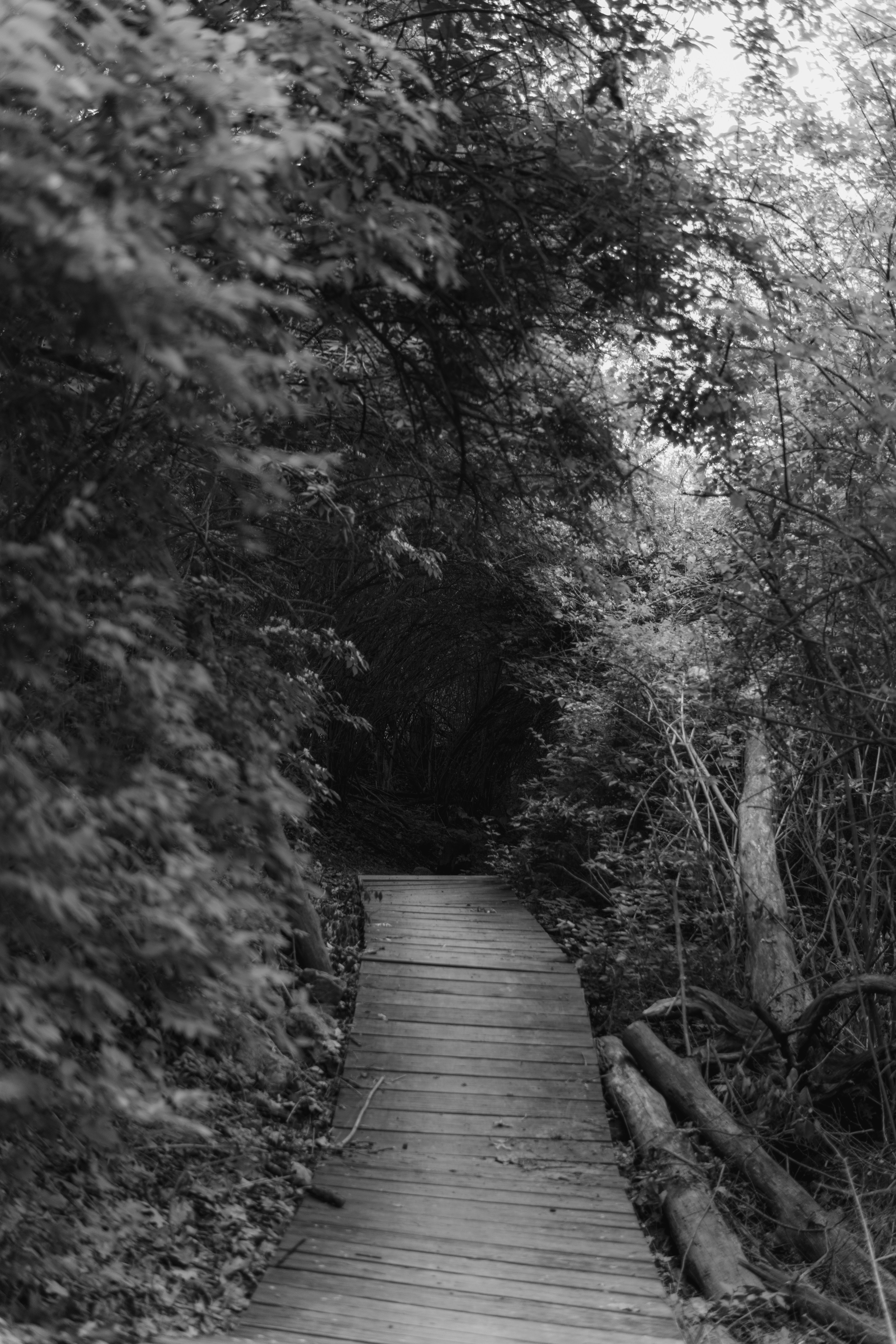 Photo by mrgreatheart