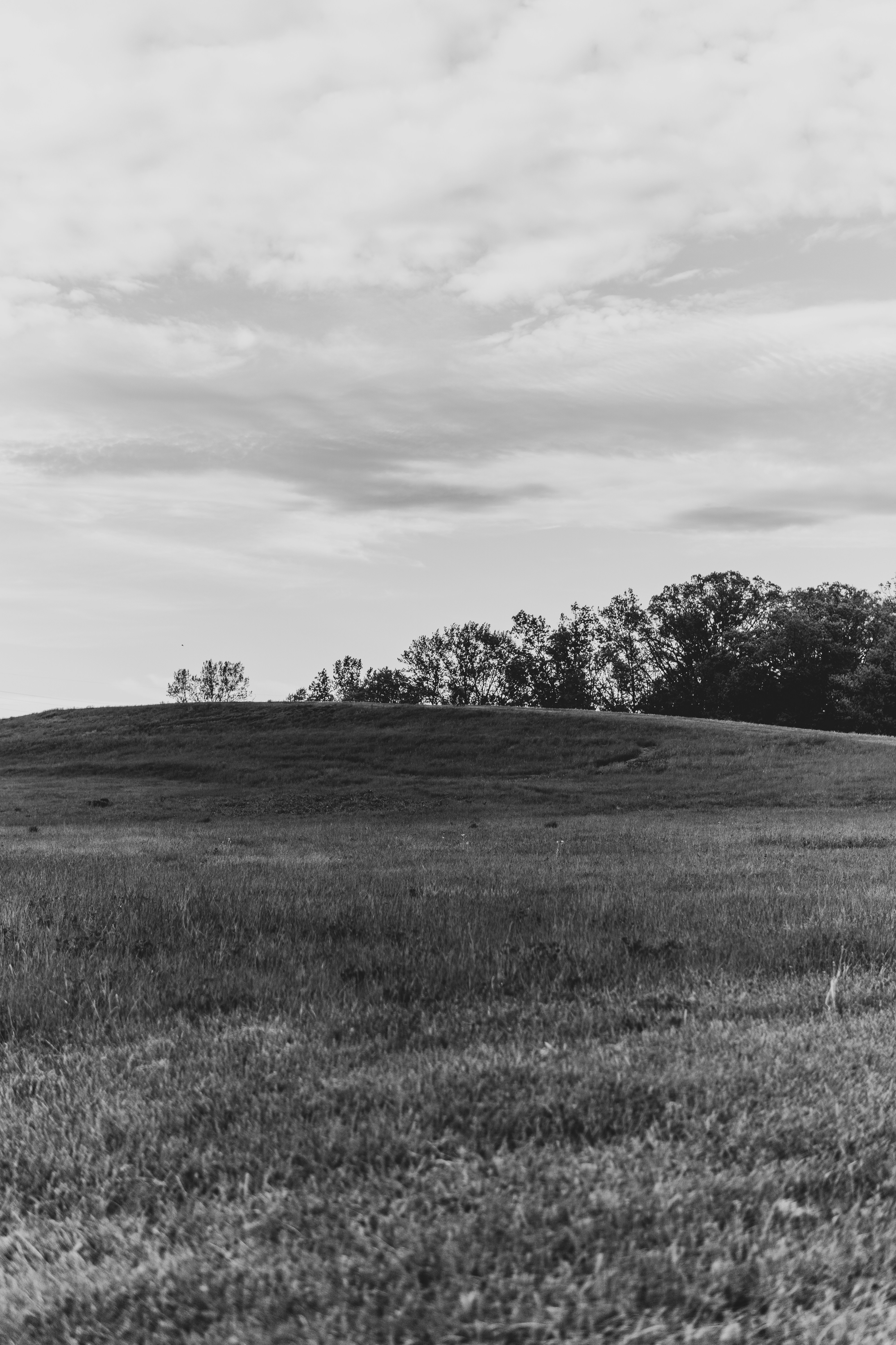 Photo by mrgreatheart