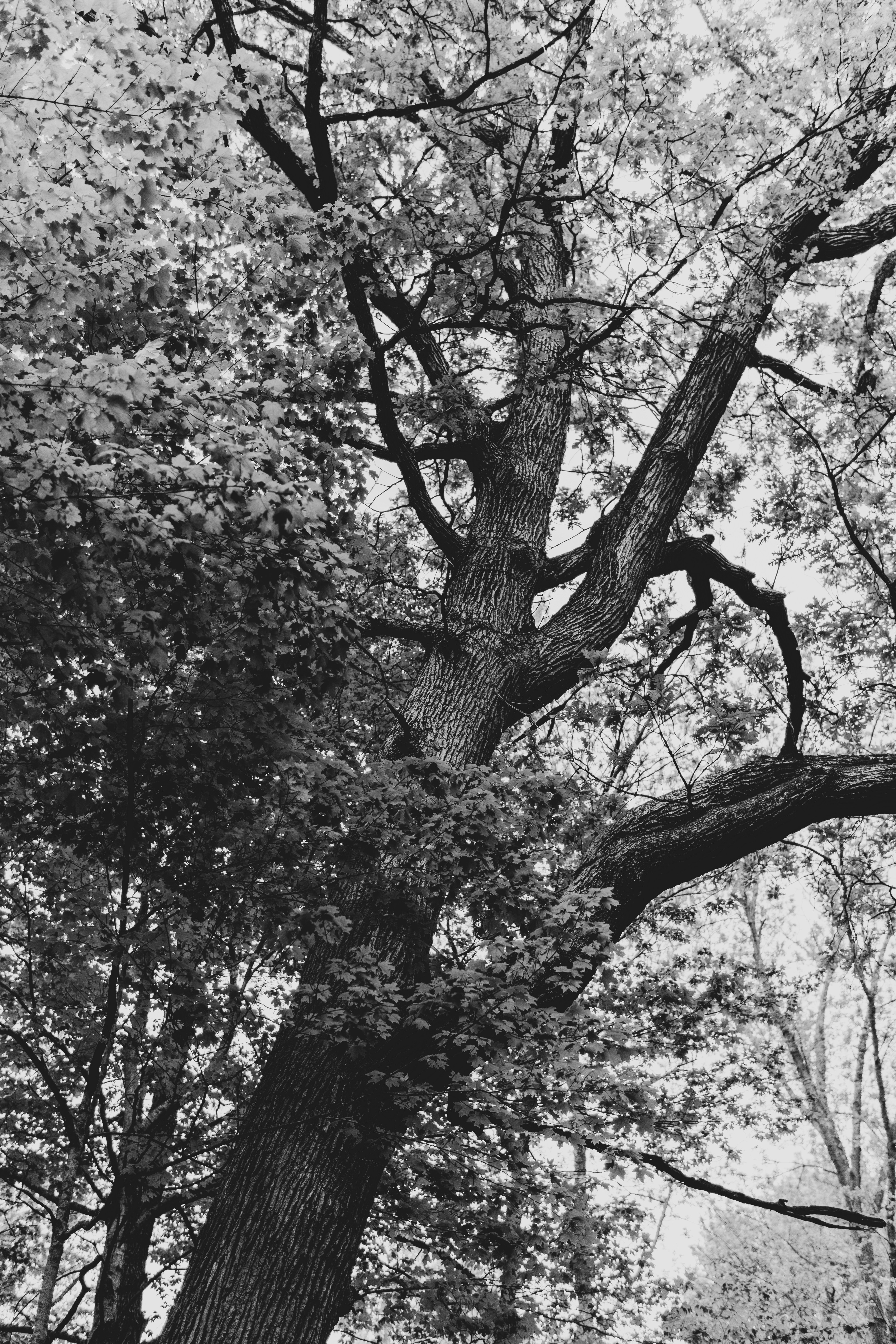 Photo by mrgreatheart