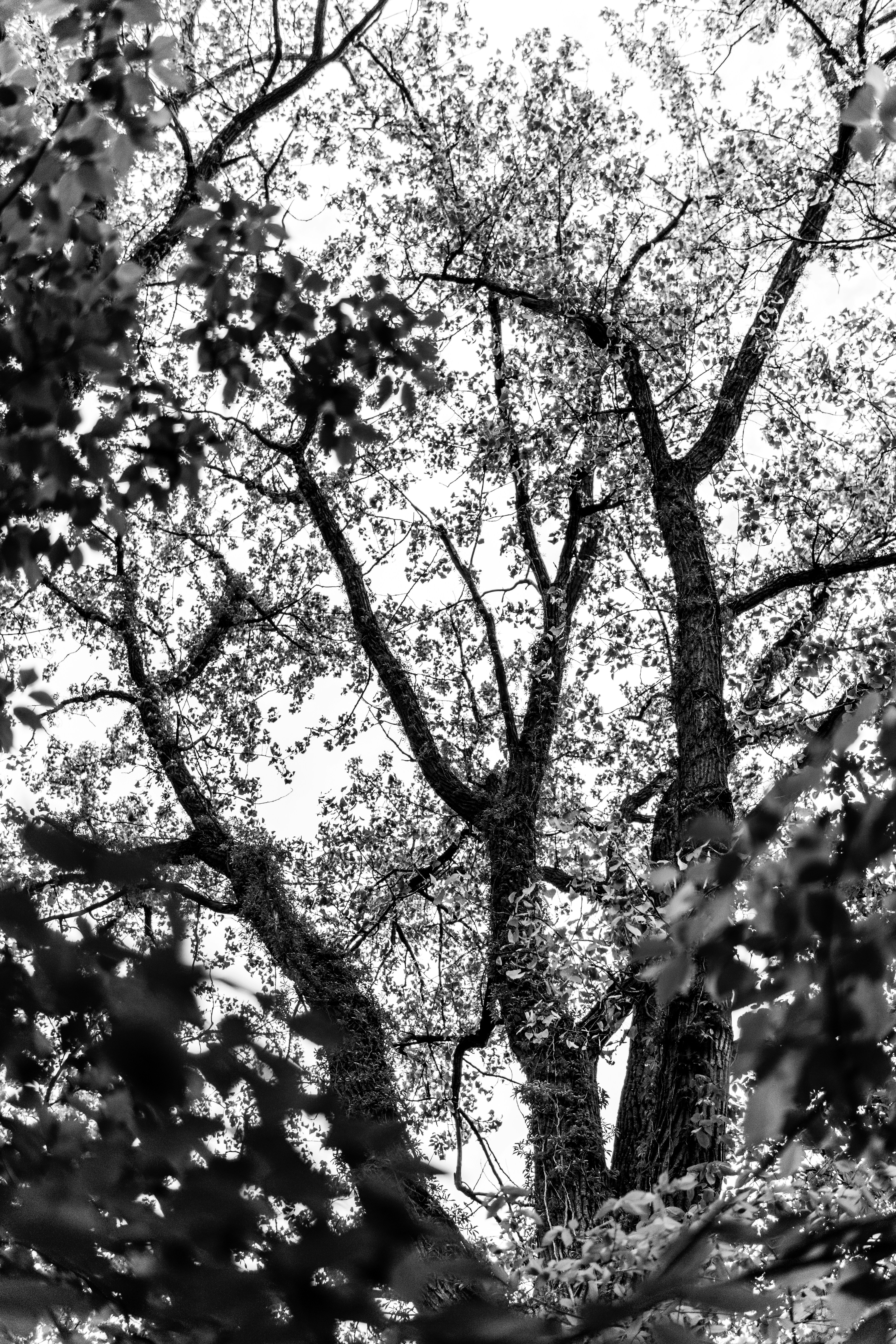 Photo by mrgreatheart