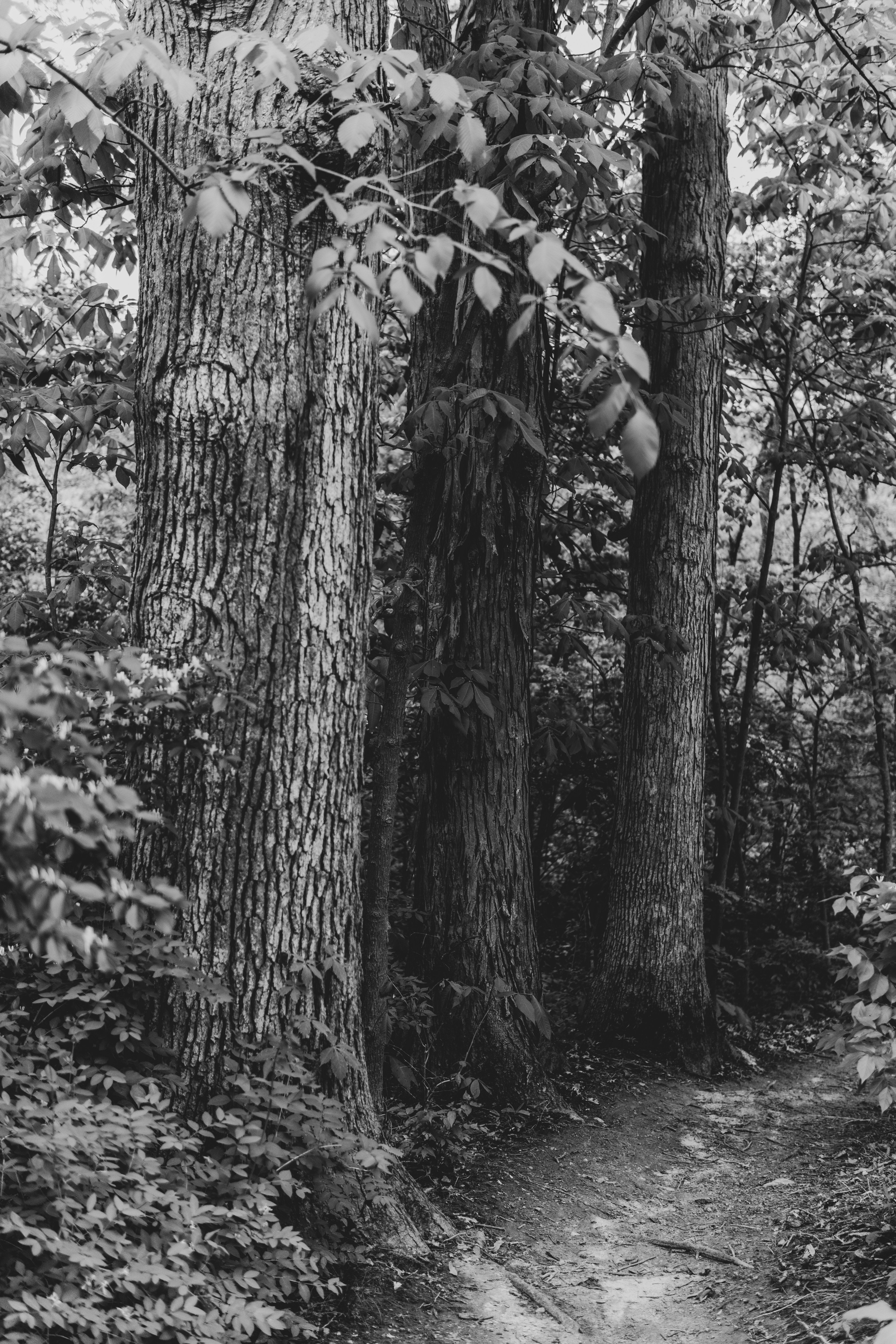 Photo by mrgreatheart