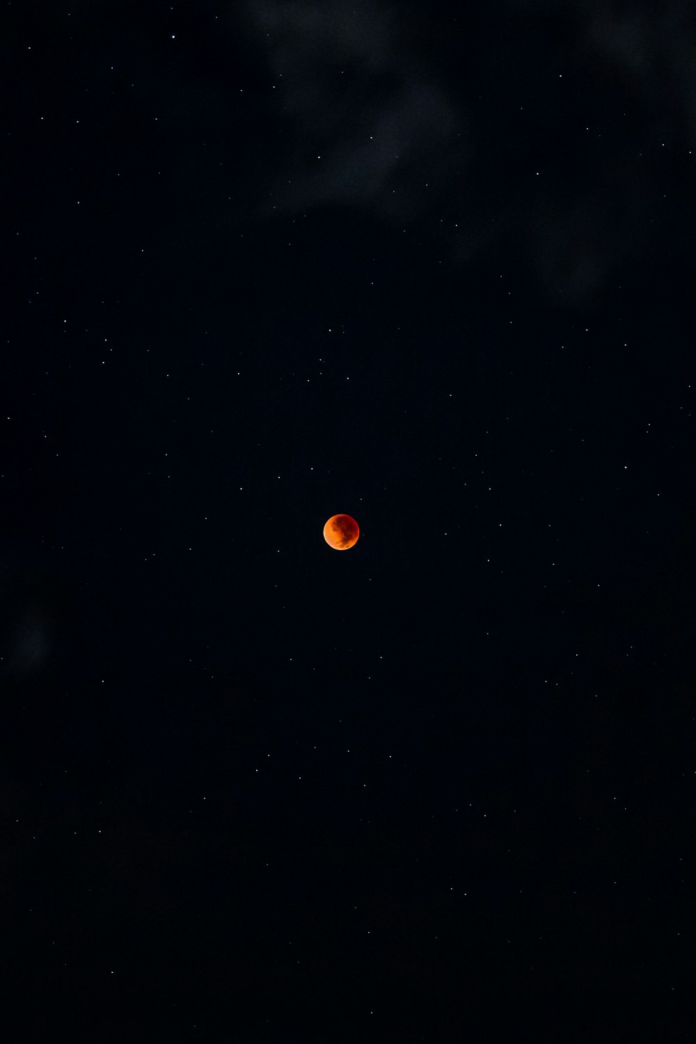 Una luna rossa è vista nel cielo notturno