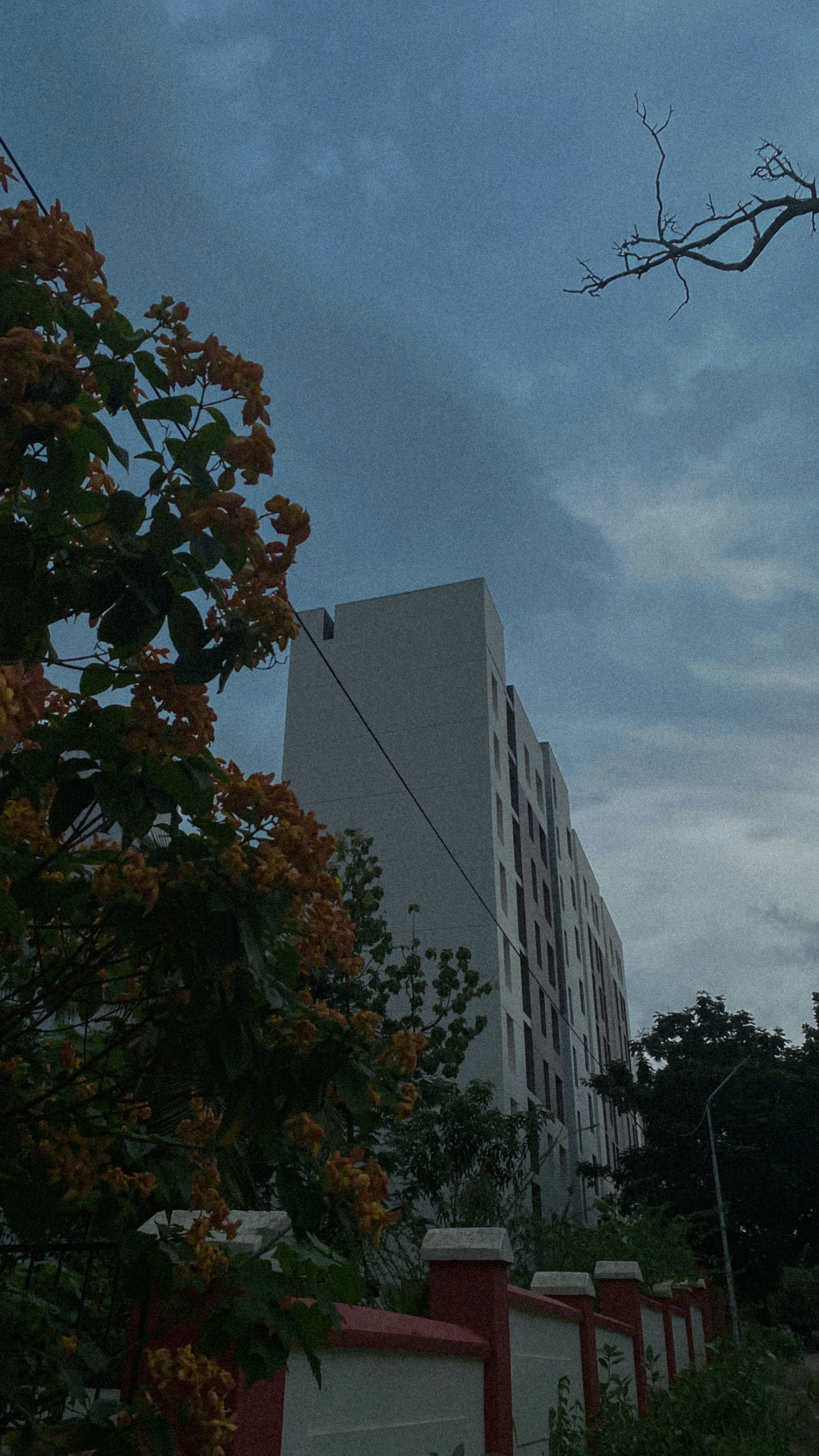 a tall white building sitting next to a lush green forest