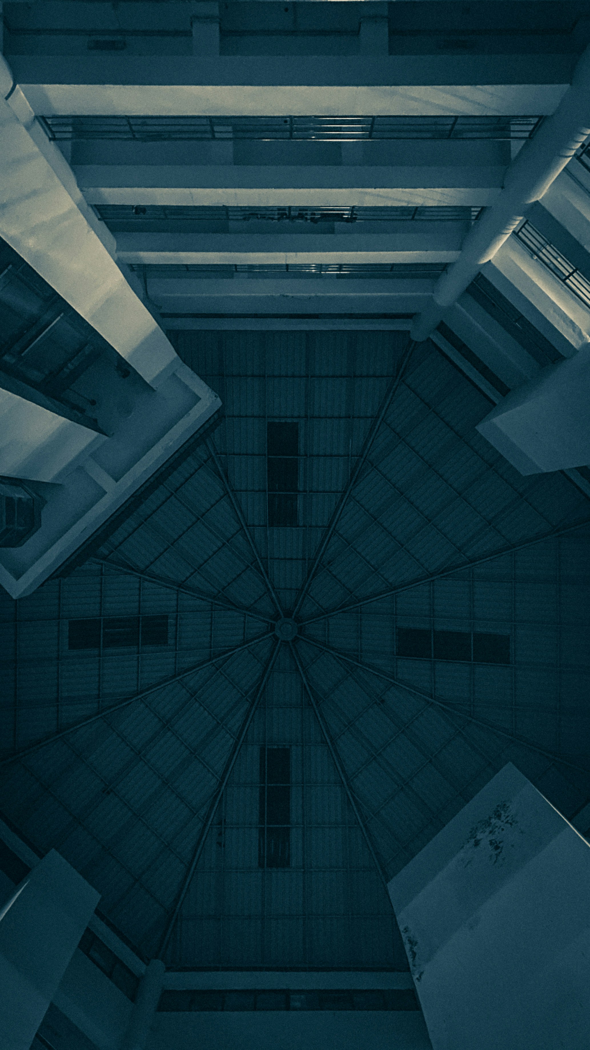 Photo by alangirish23