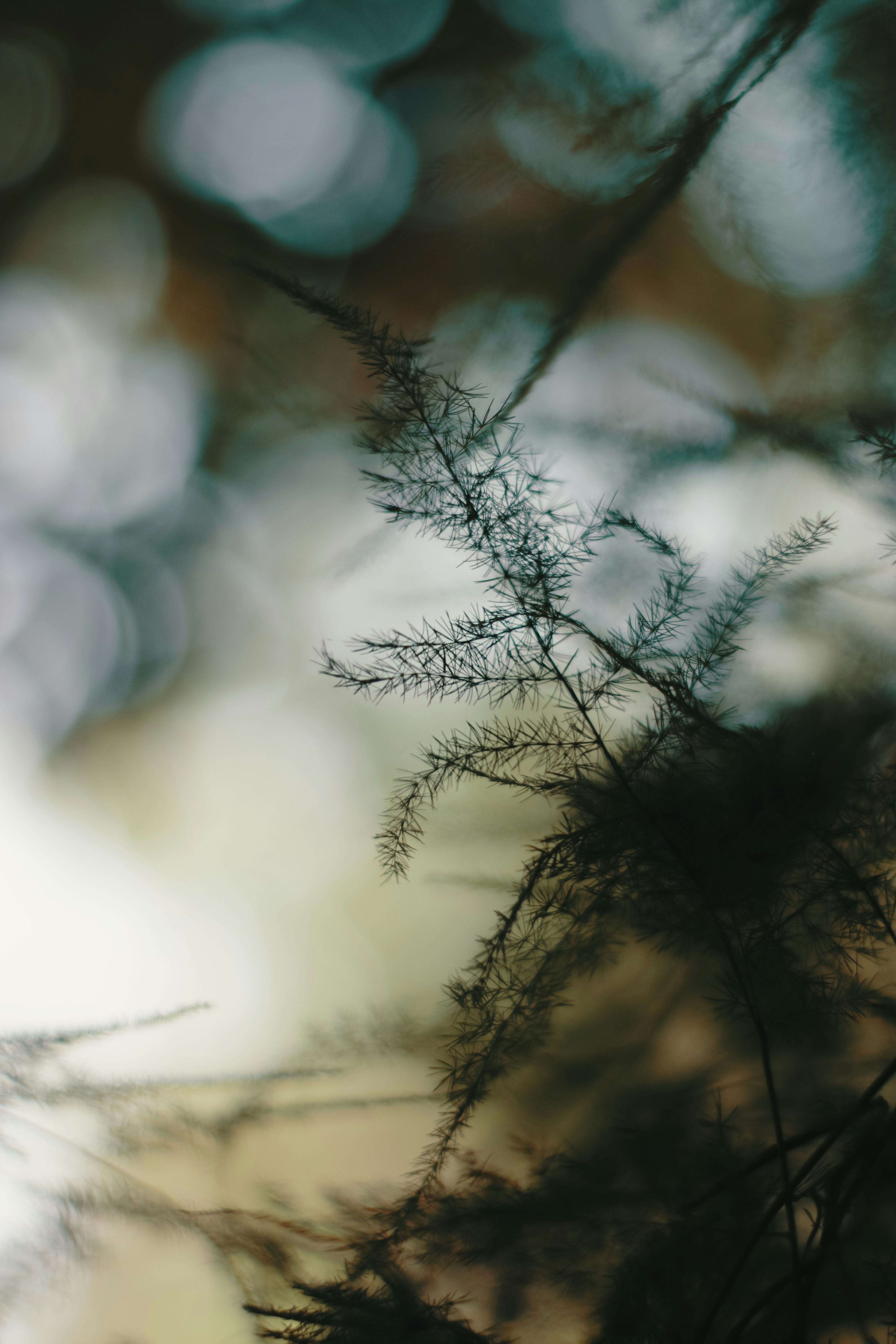 Photo by niranjan_photographs