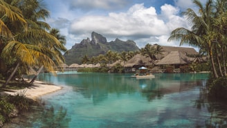 a lagoon with a boat in it surrounded by palm trees