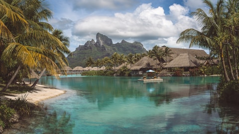 a lagoon with a boat in it surrounded by palm trees