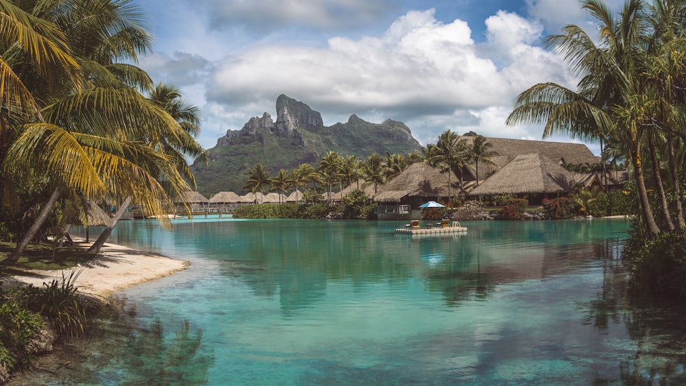 a lagoon with a boat in it surrounded by palm trees