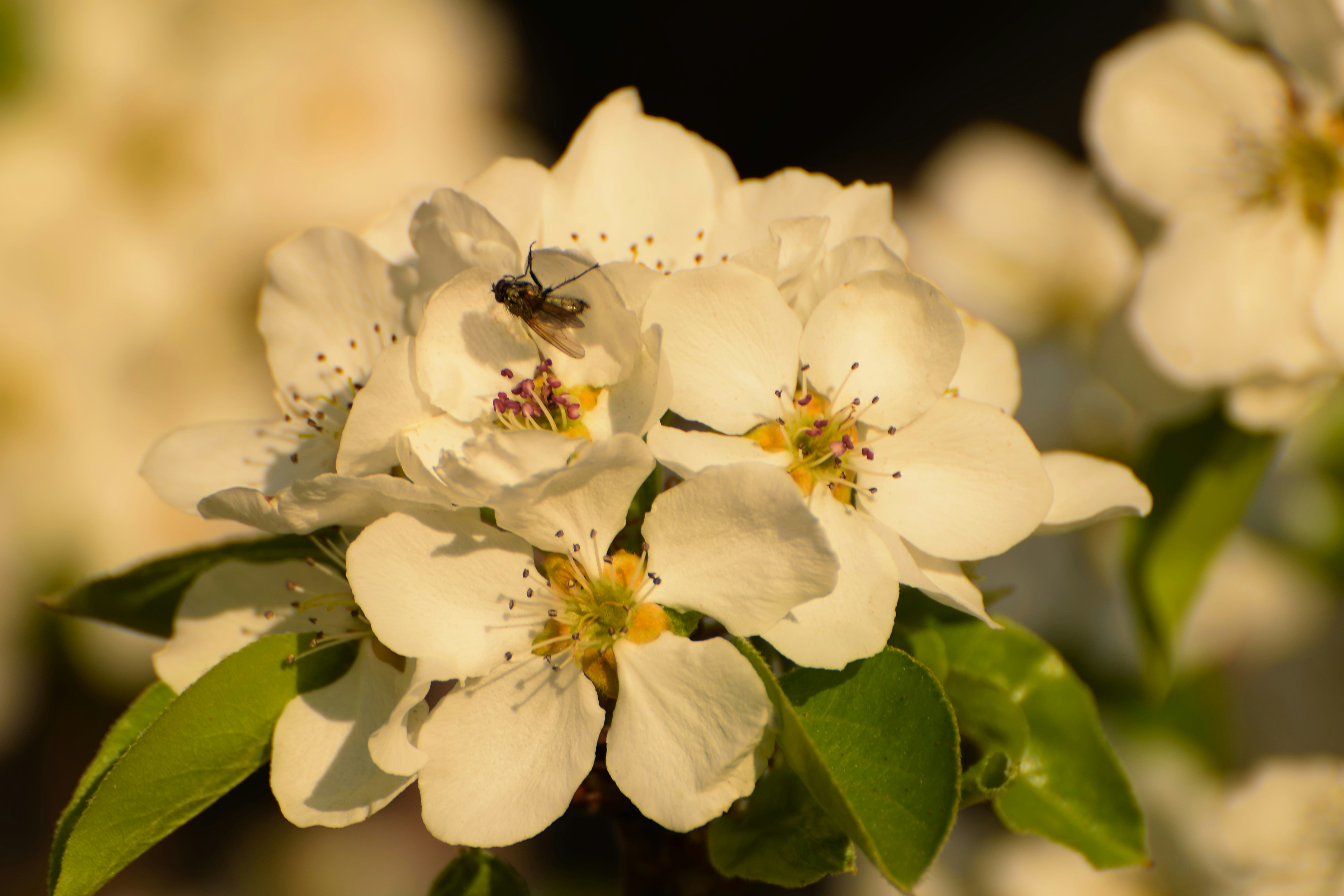 Photo by azxa661