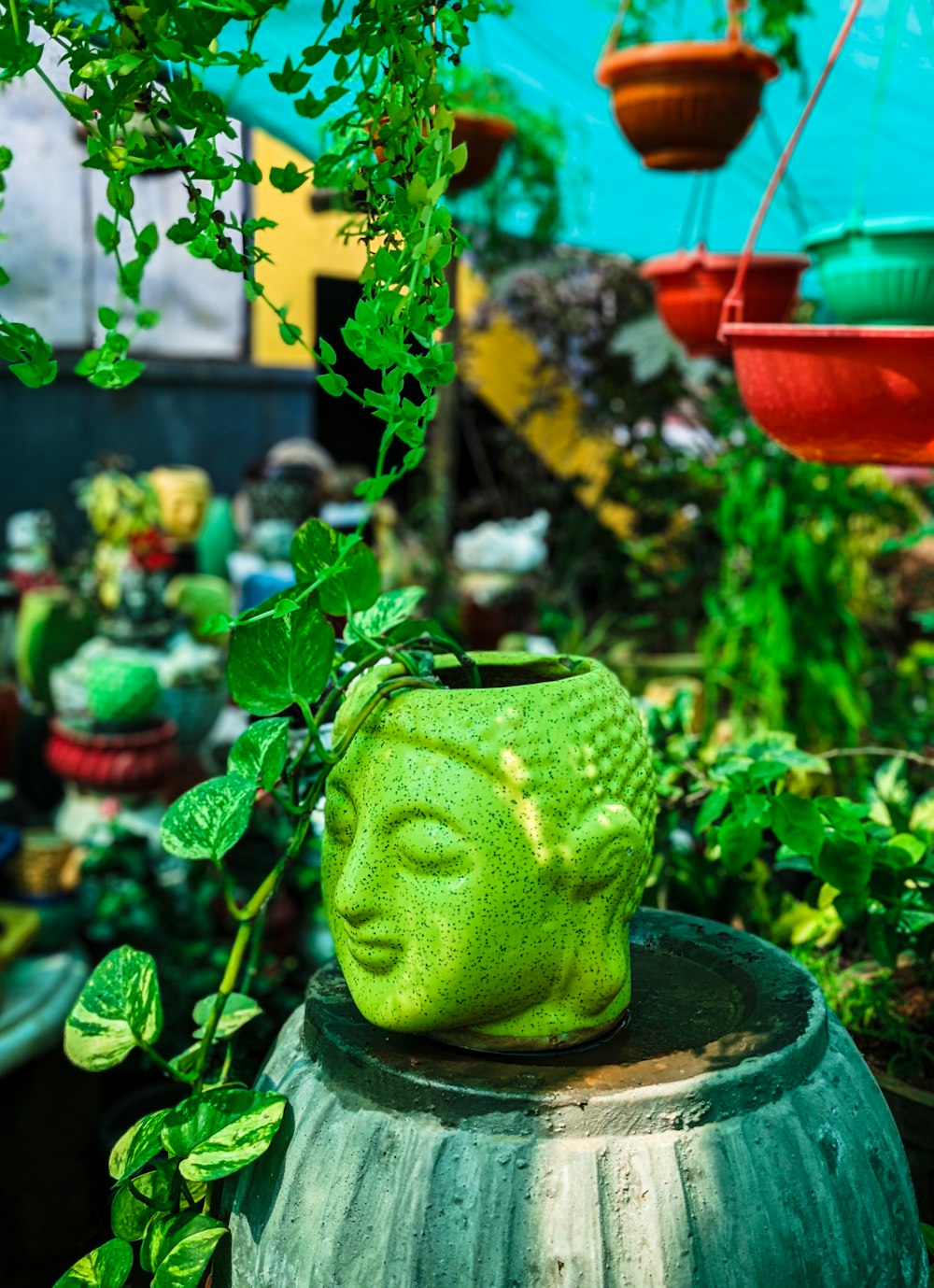 Ein grüner Buddha-Kopf sitzt auf einer Topfpflanze