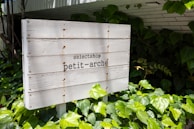 A wooden sign is standing amidst lush green leaf plants. The sign is slightly weathered and reads 'selectshop petit-arché' in black letters. The background includes more plants and a partially visible structure with a white tiled roof.