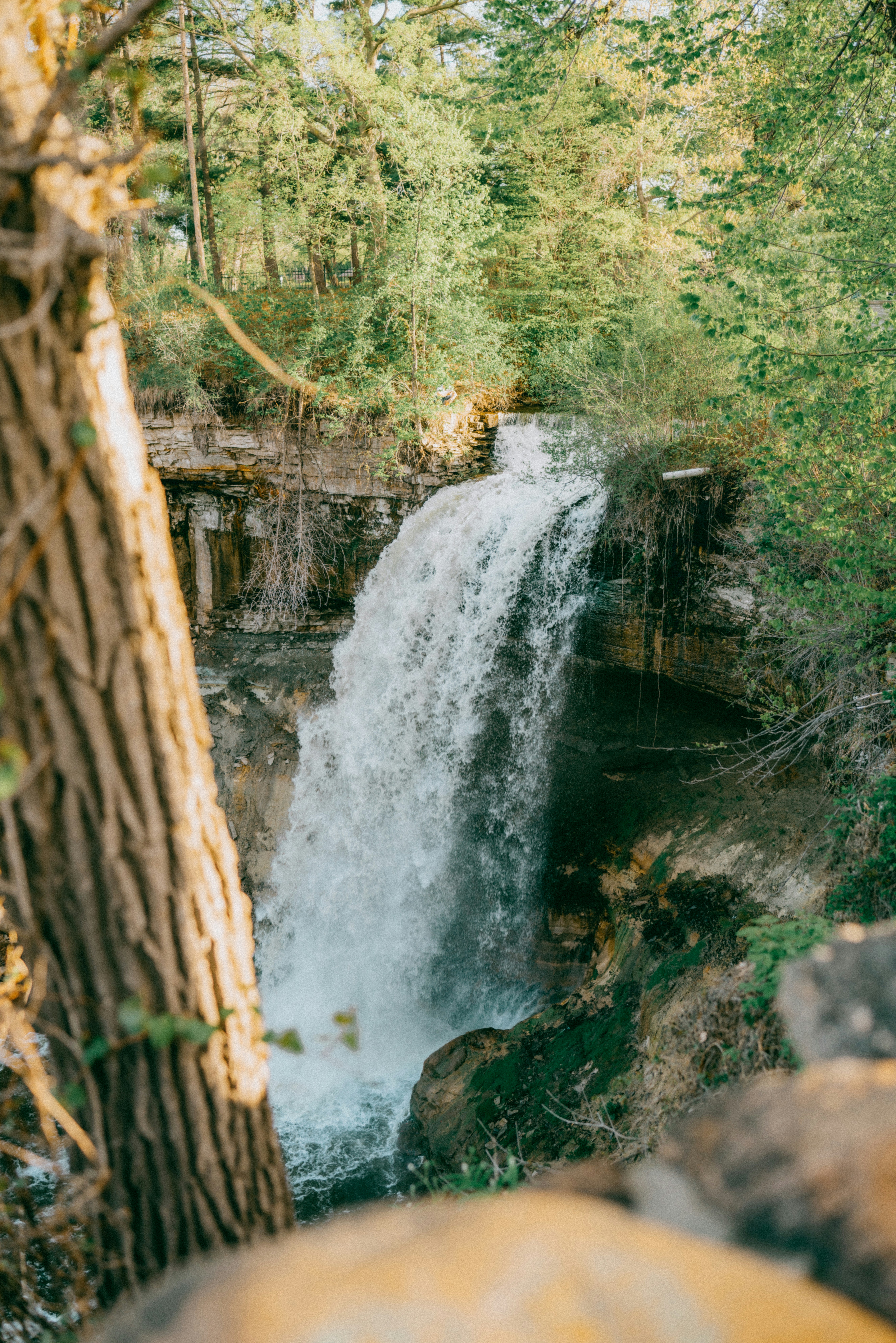 Photo by isthatbrock