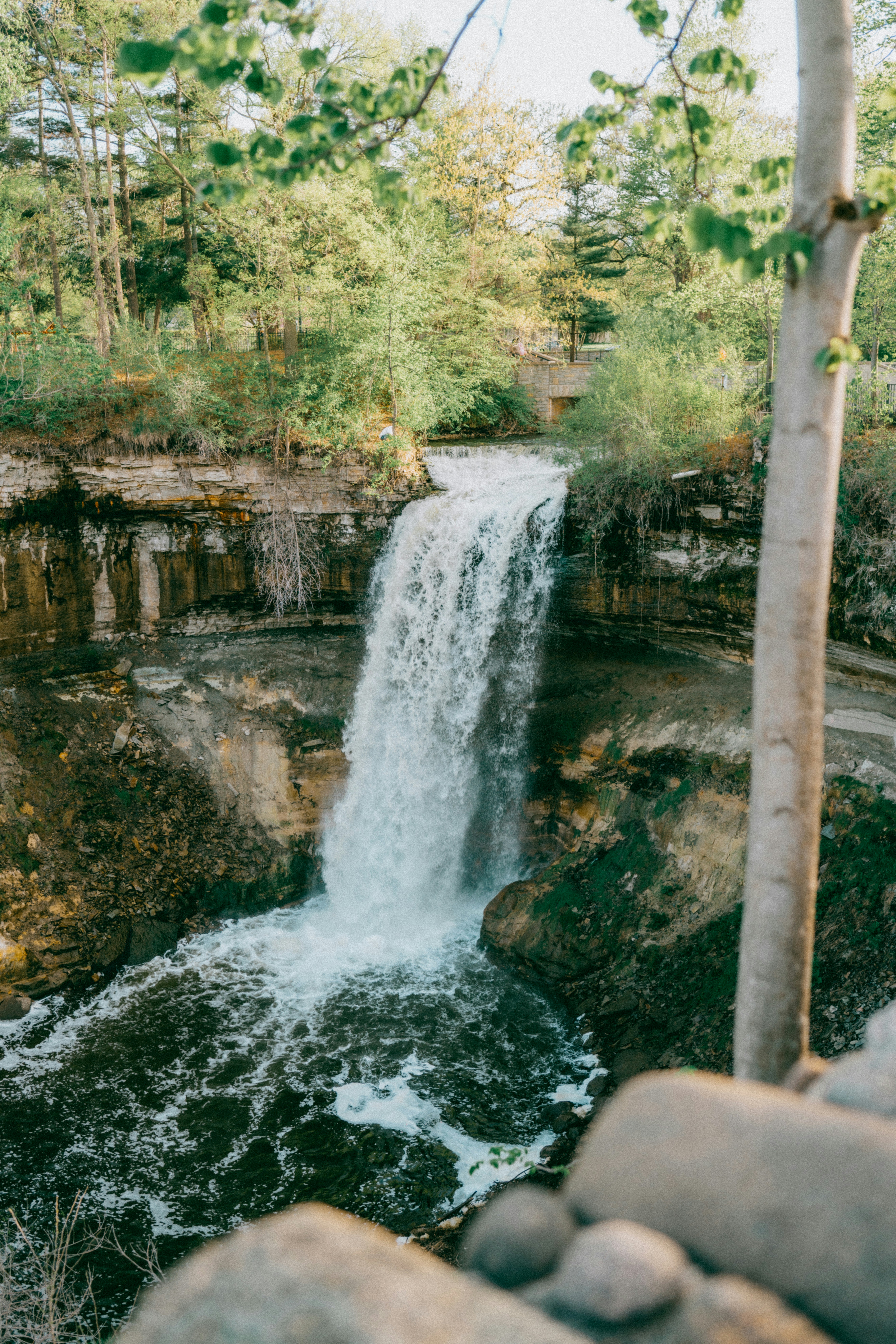 Photo by isthatbrock
