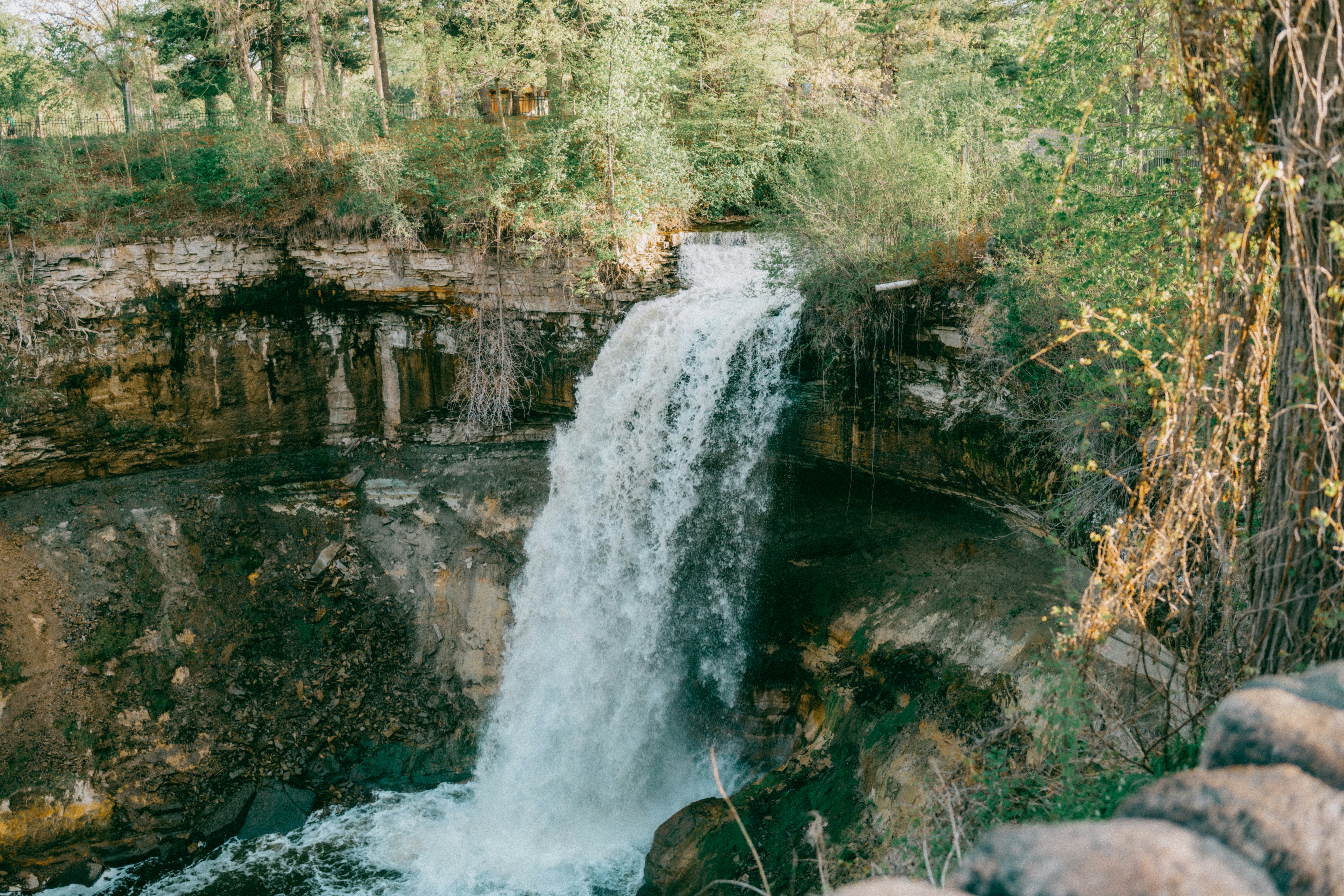 Photo by isthatbrock