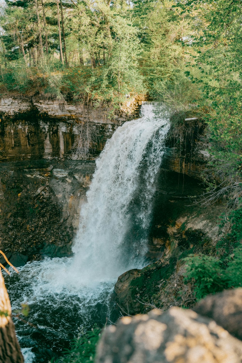 a waterfall in the middle of a forest