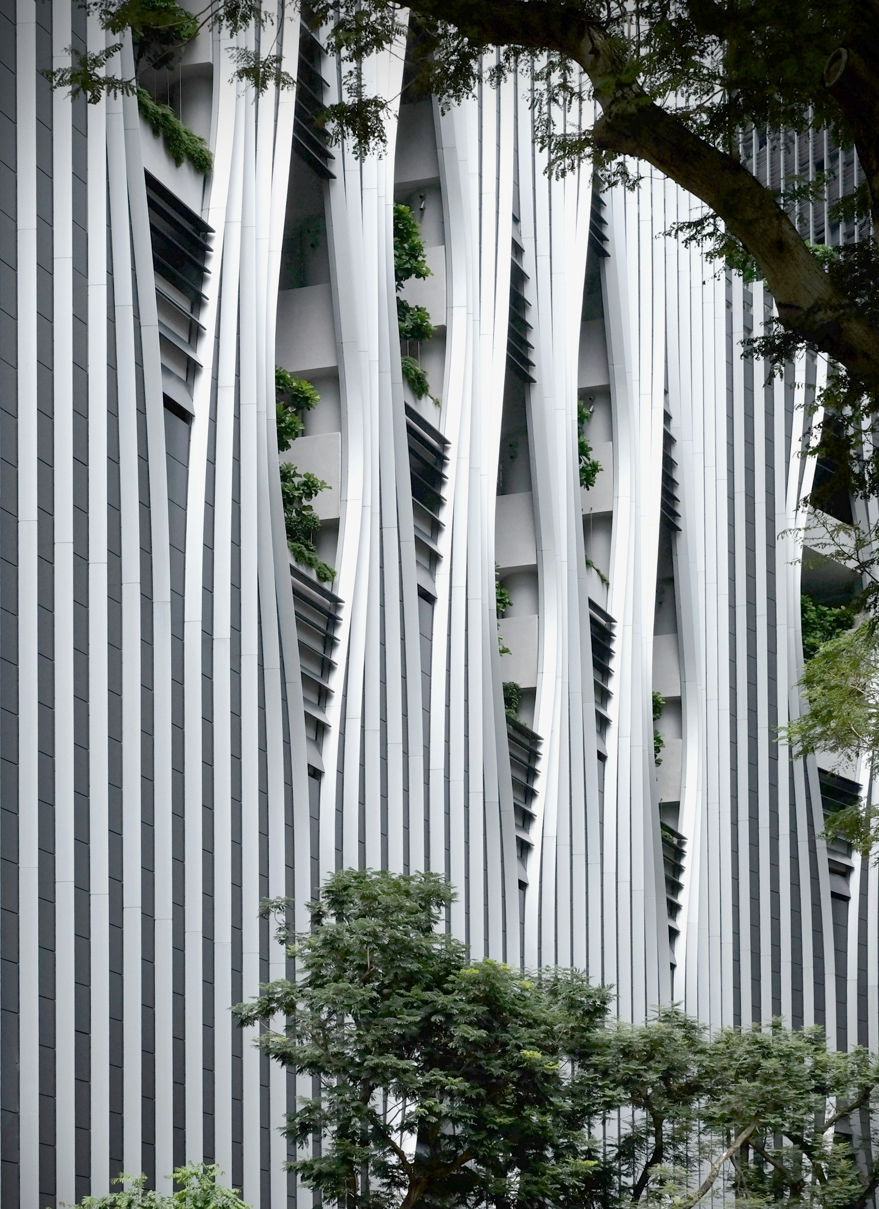 白い線がたくさんある建物