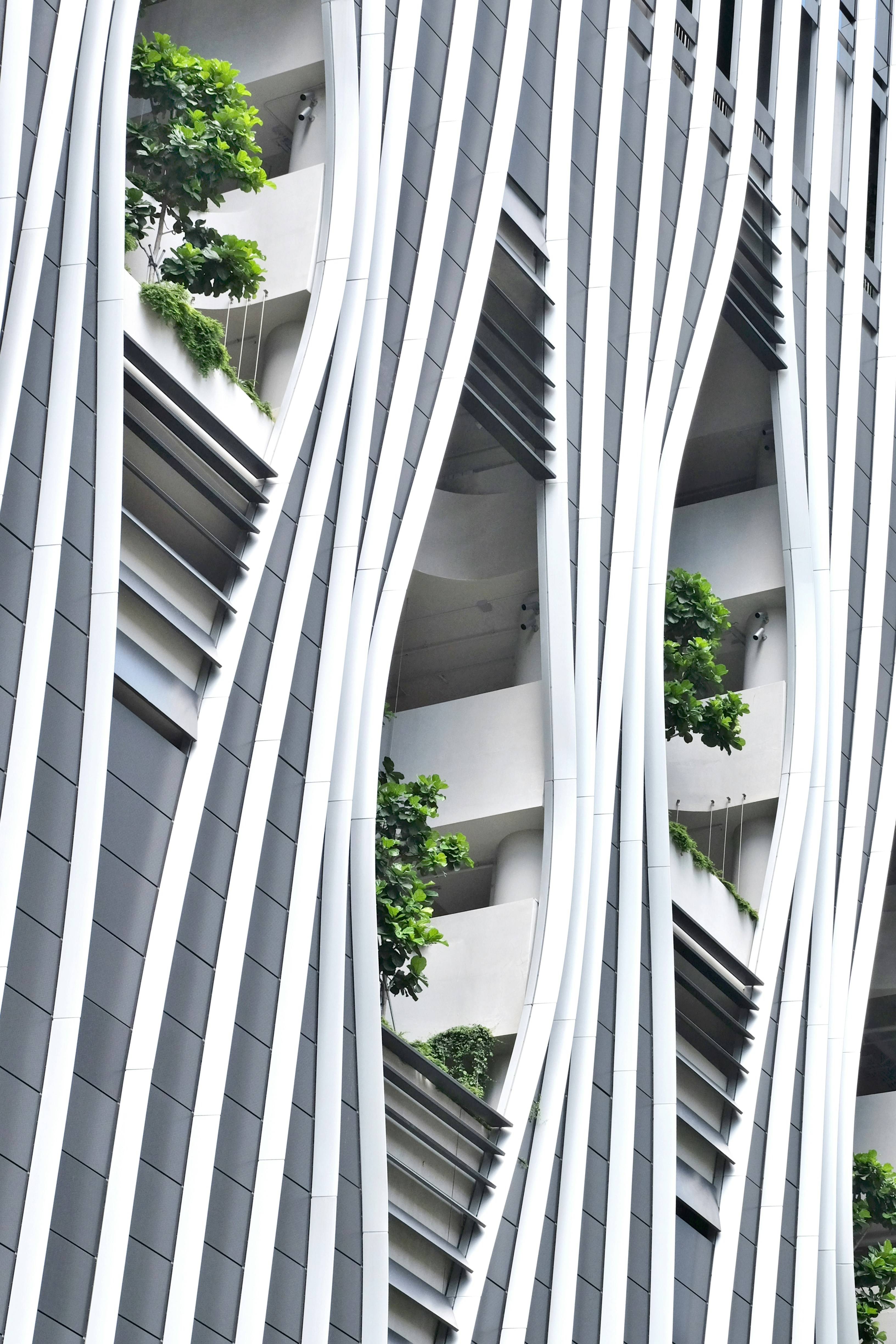 横にたくさんの木が生えている建物