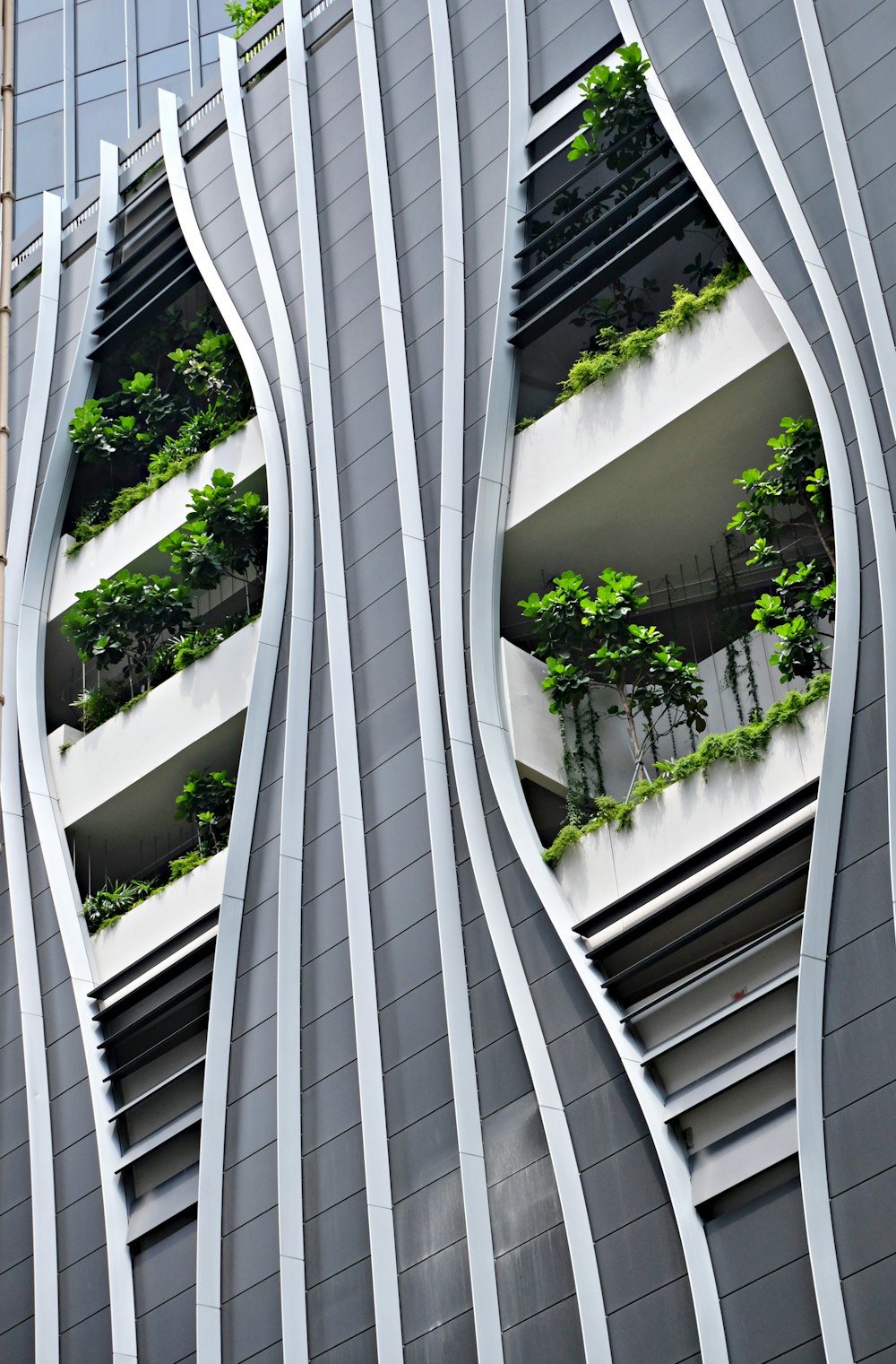 a building with a bunch of plants growing out of the windows