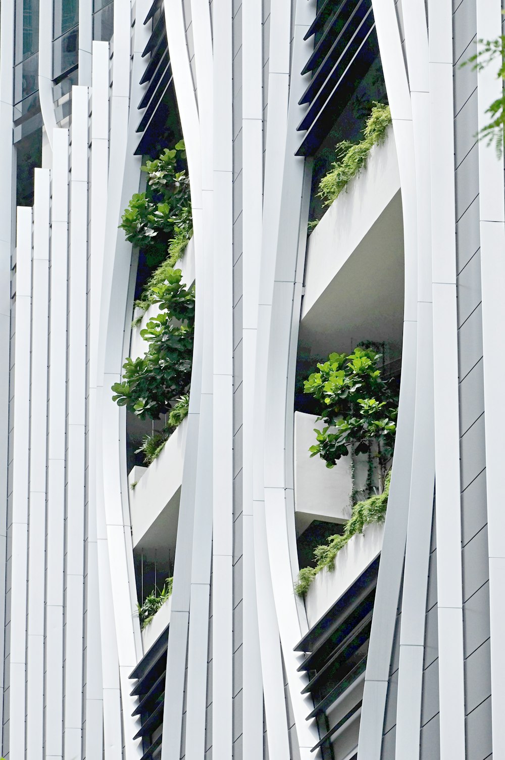 a building with a bunch of plants growing on the side of it