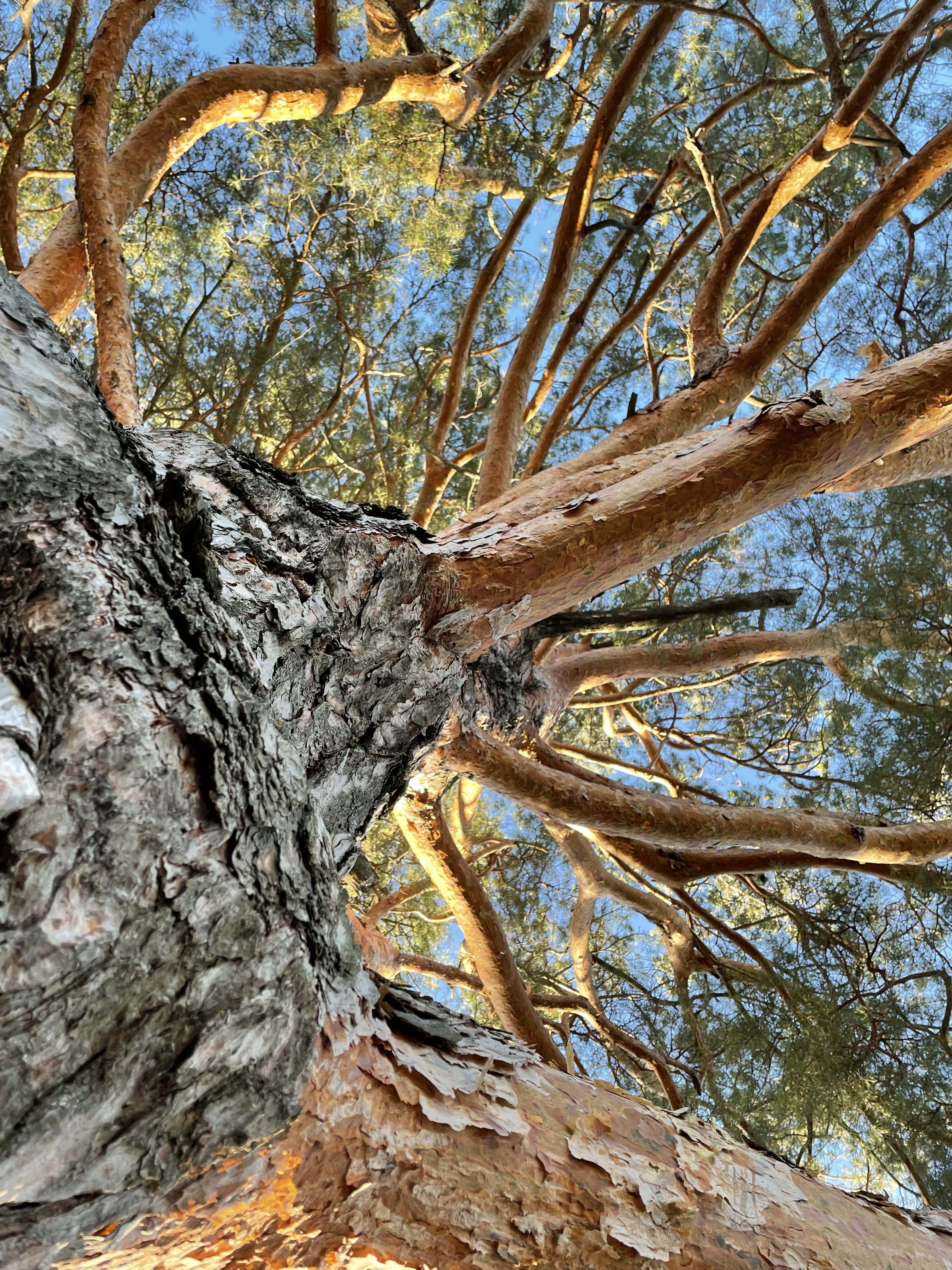 Photo by hecticaesthetic