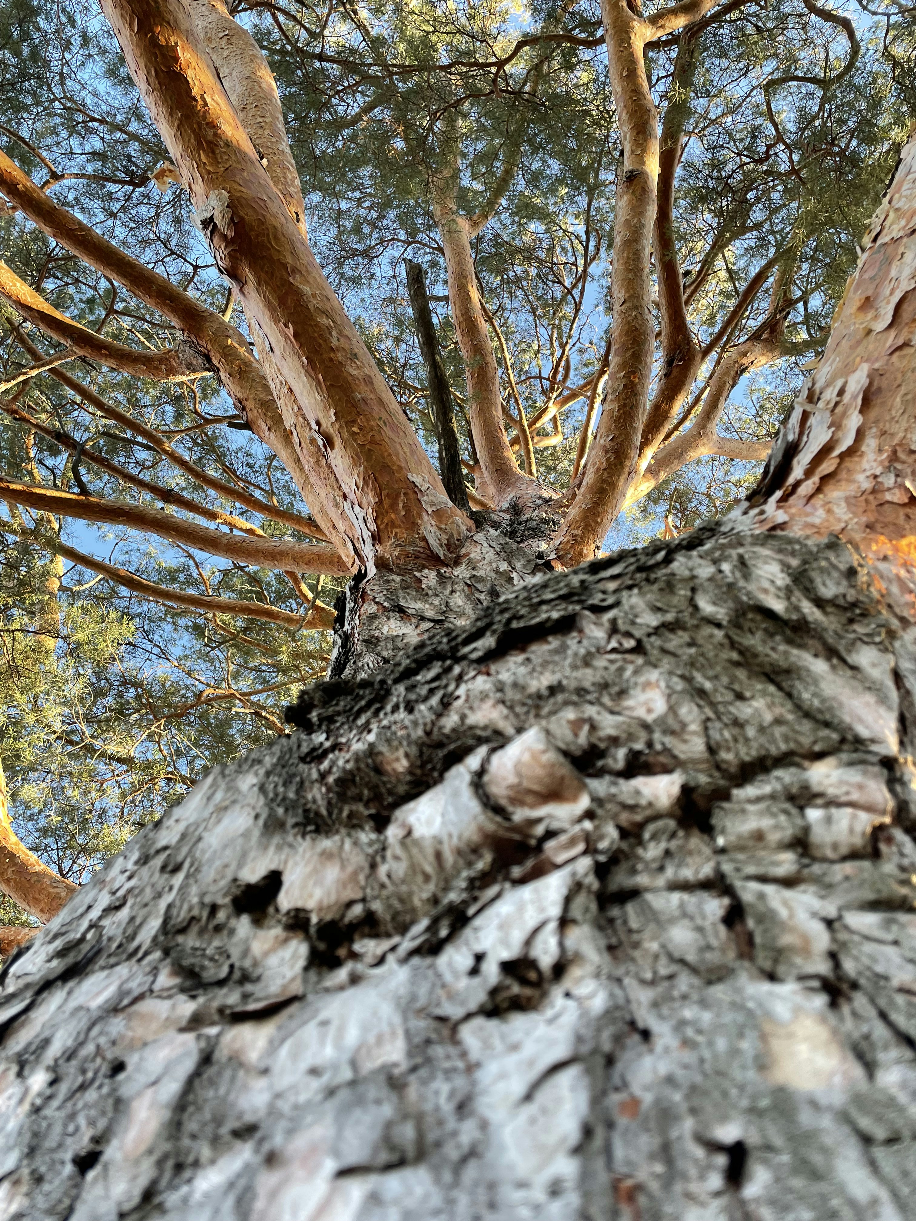 Photo by hecticaesthetic