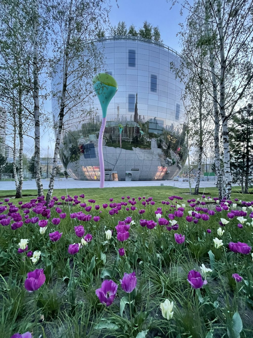 a field of purple flowers in front of a building