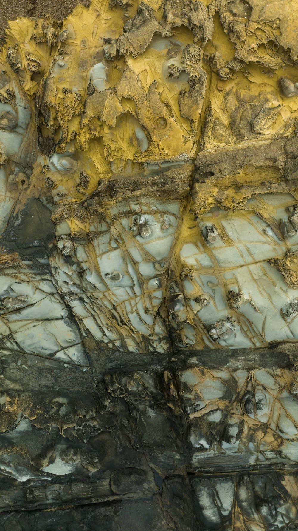 a close up of a rock with yellow paint on it