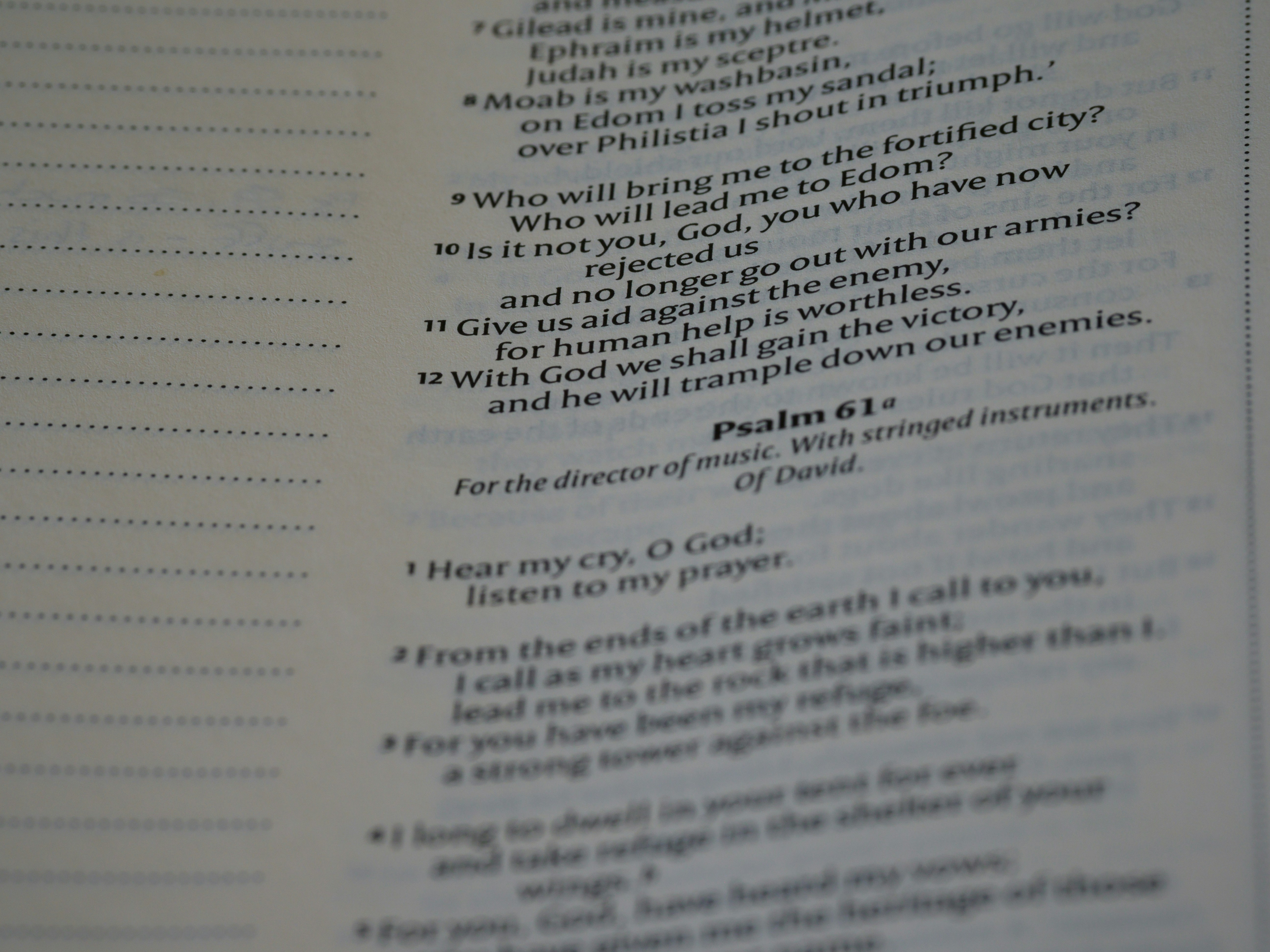 Photo by brett_jordan