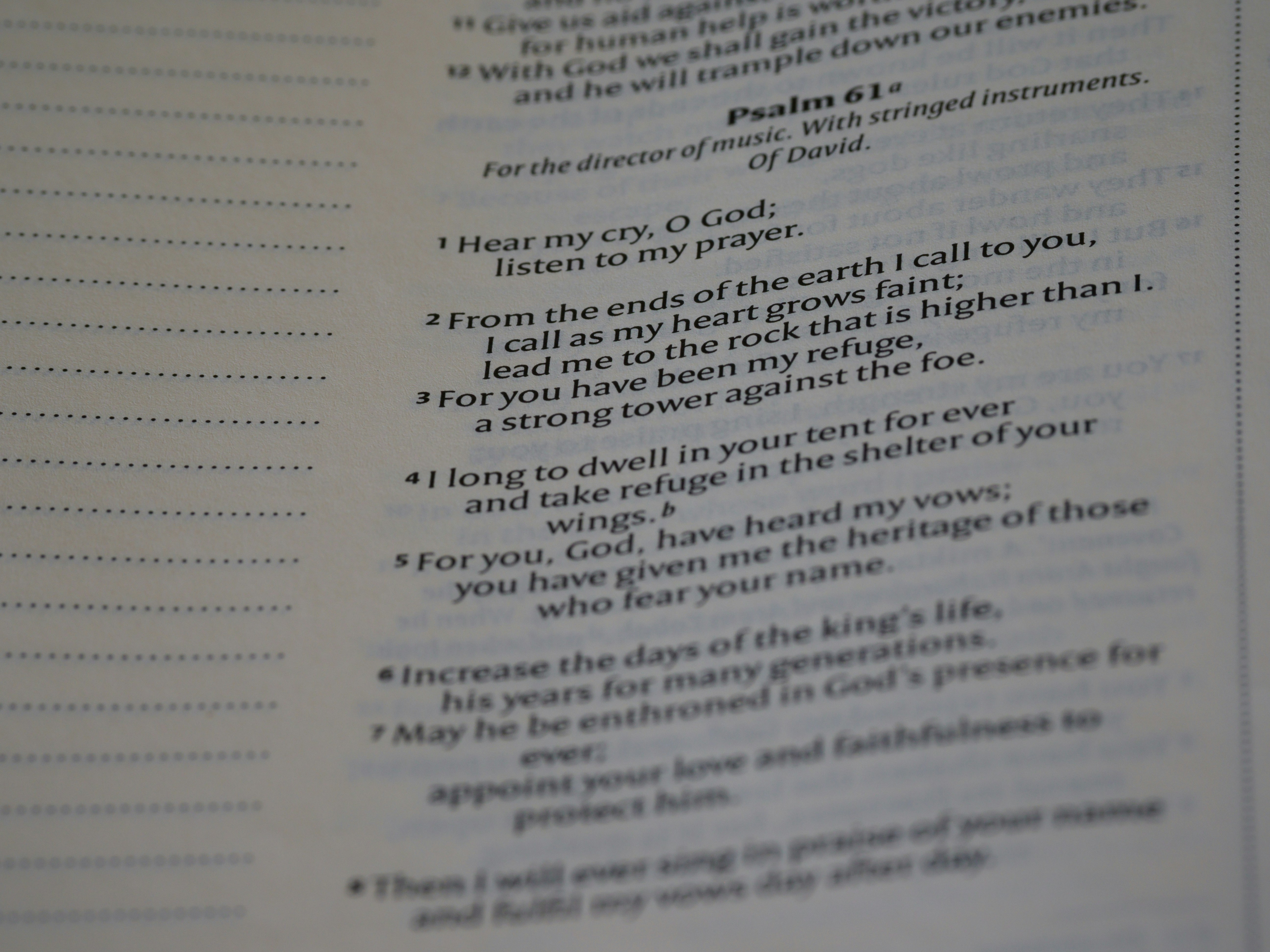 Photo by brett_jordan