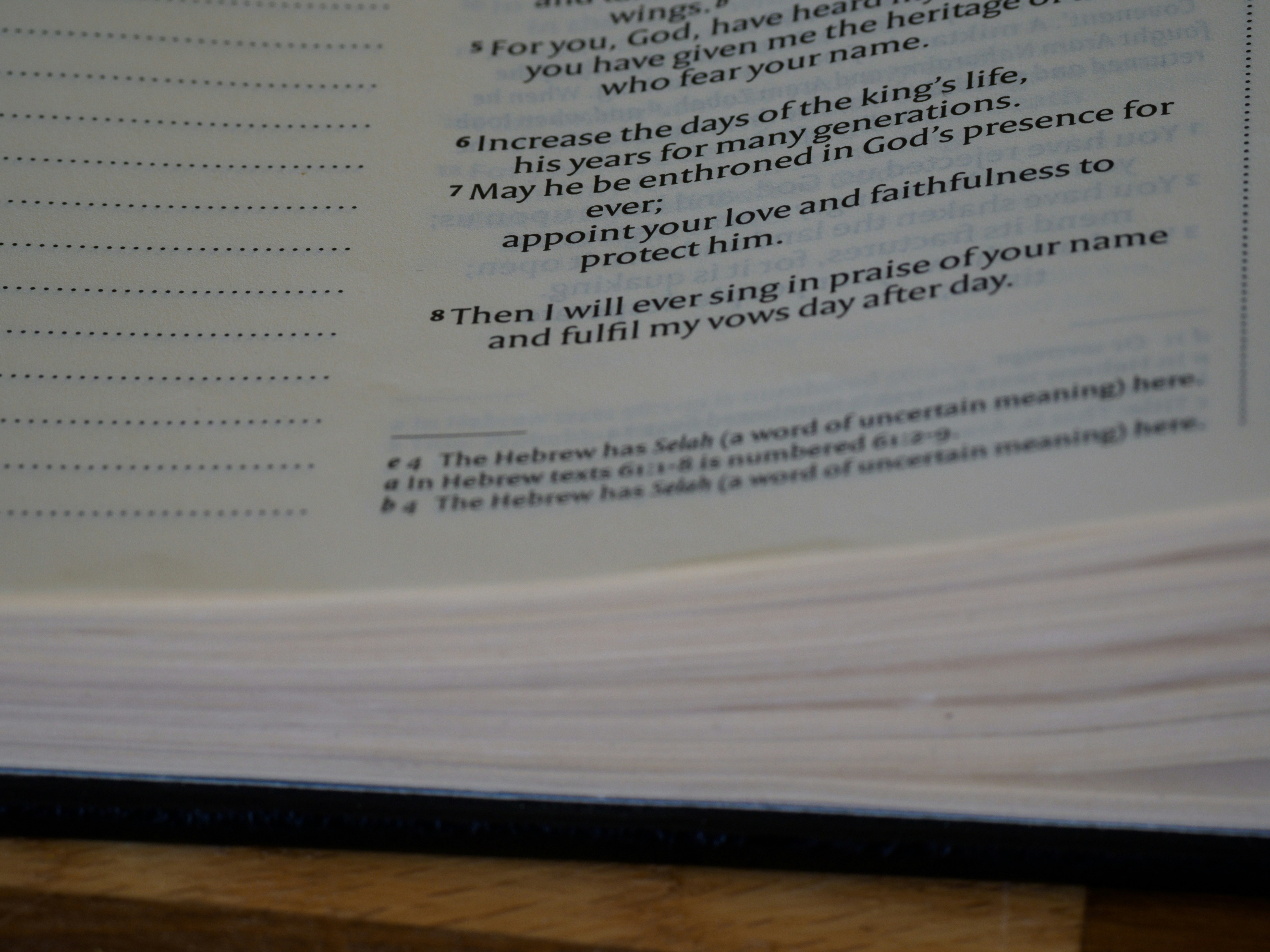 photo-1652856173695-e7de2c852bdd?ixid=M3